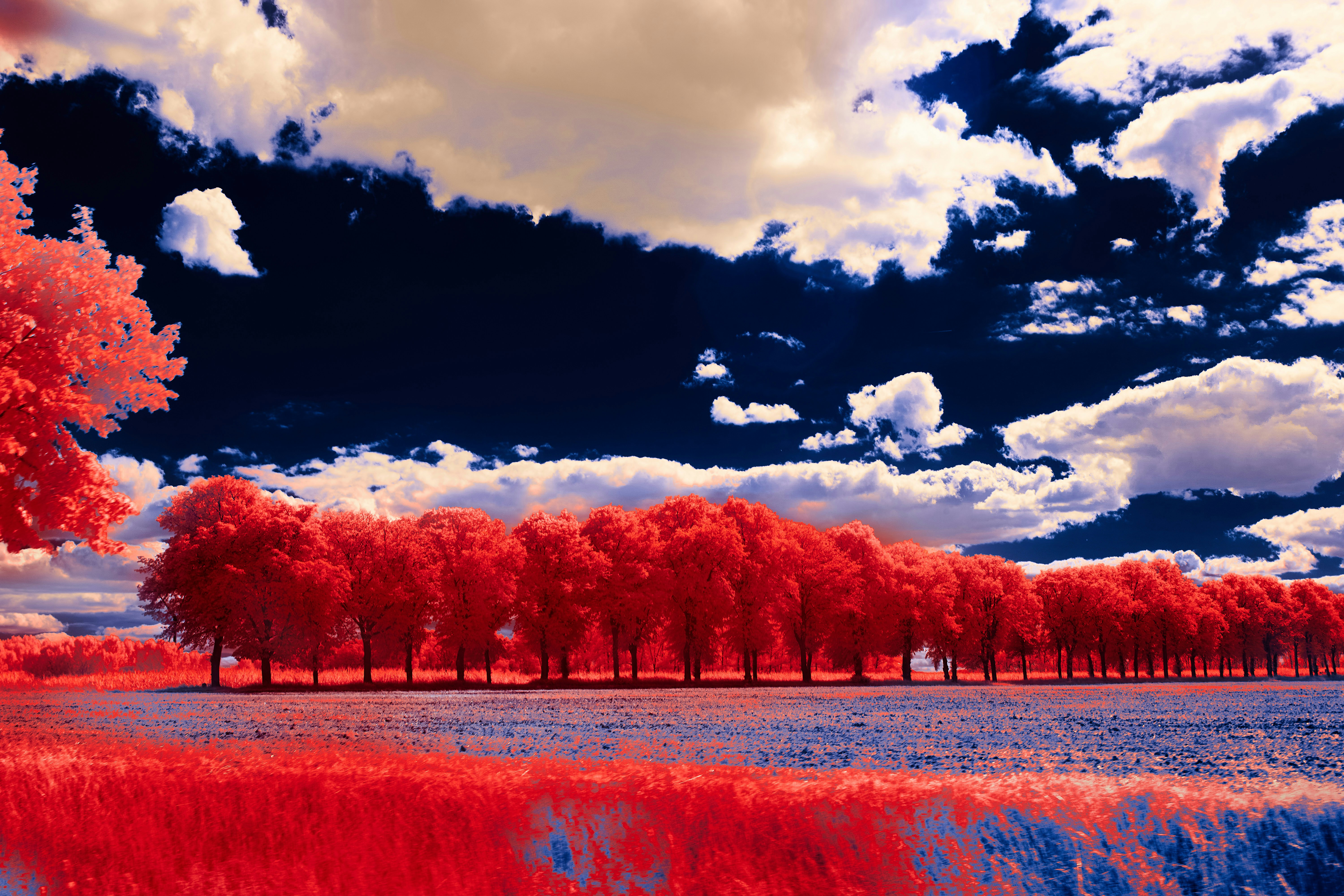 Photo by wolfgang_hasselmann