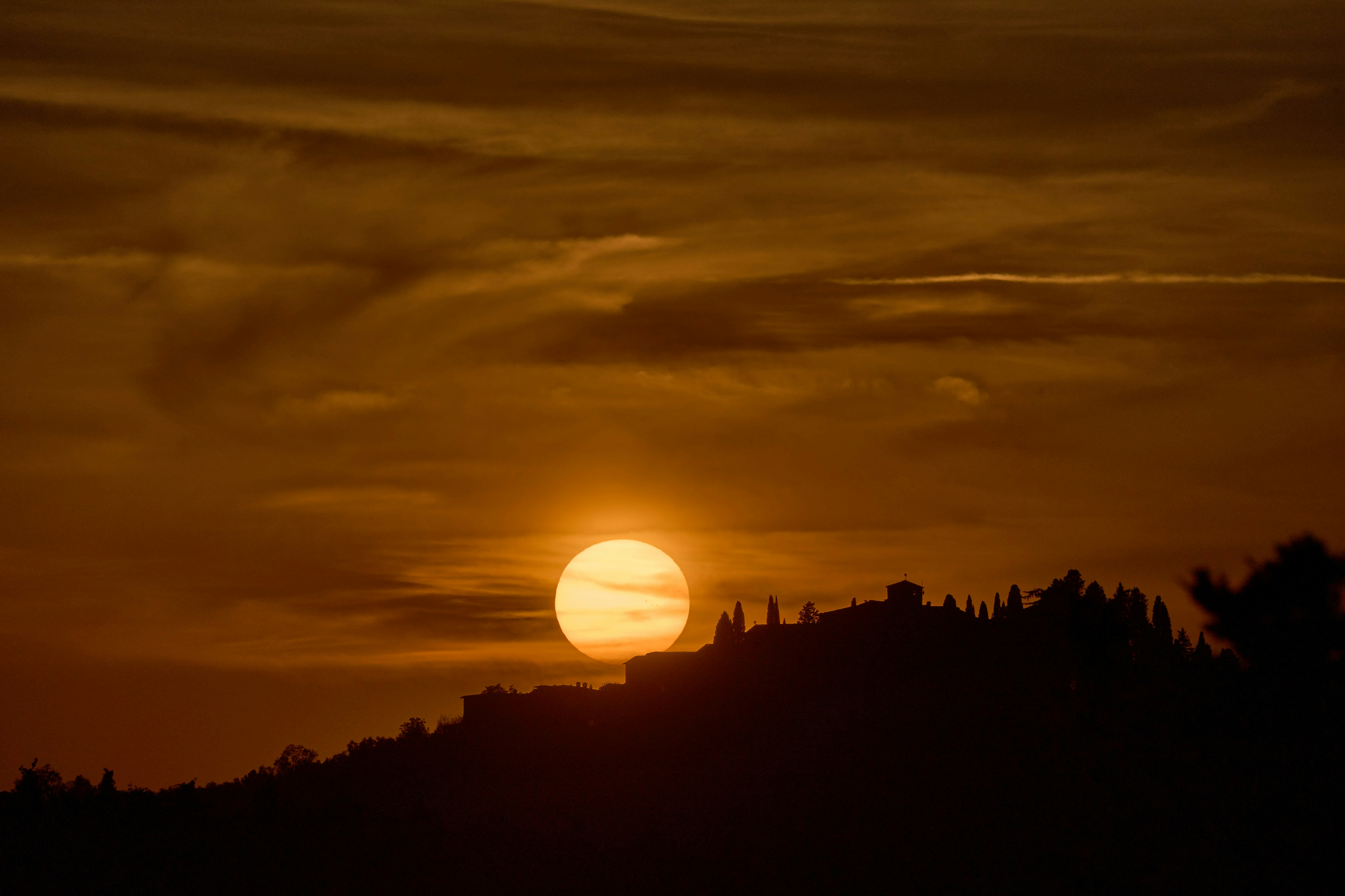 Photo by wolfgang_hasselmann