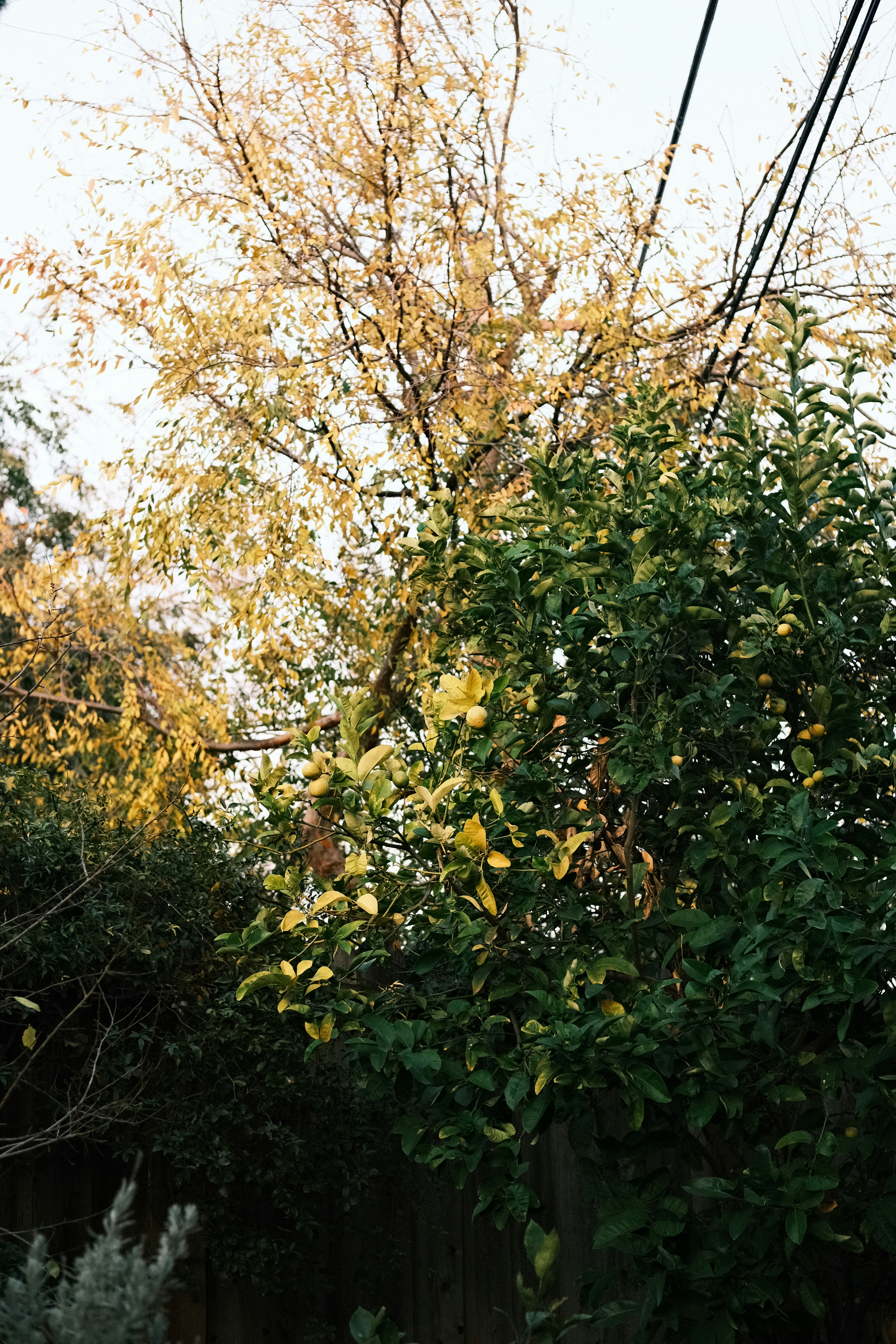 Photo by jacobmitani12