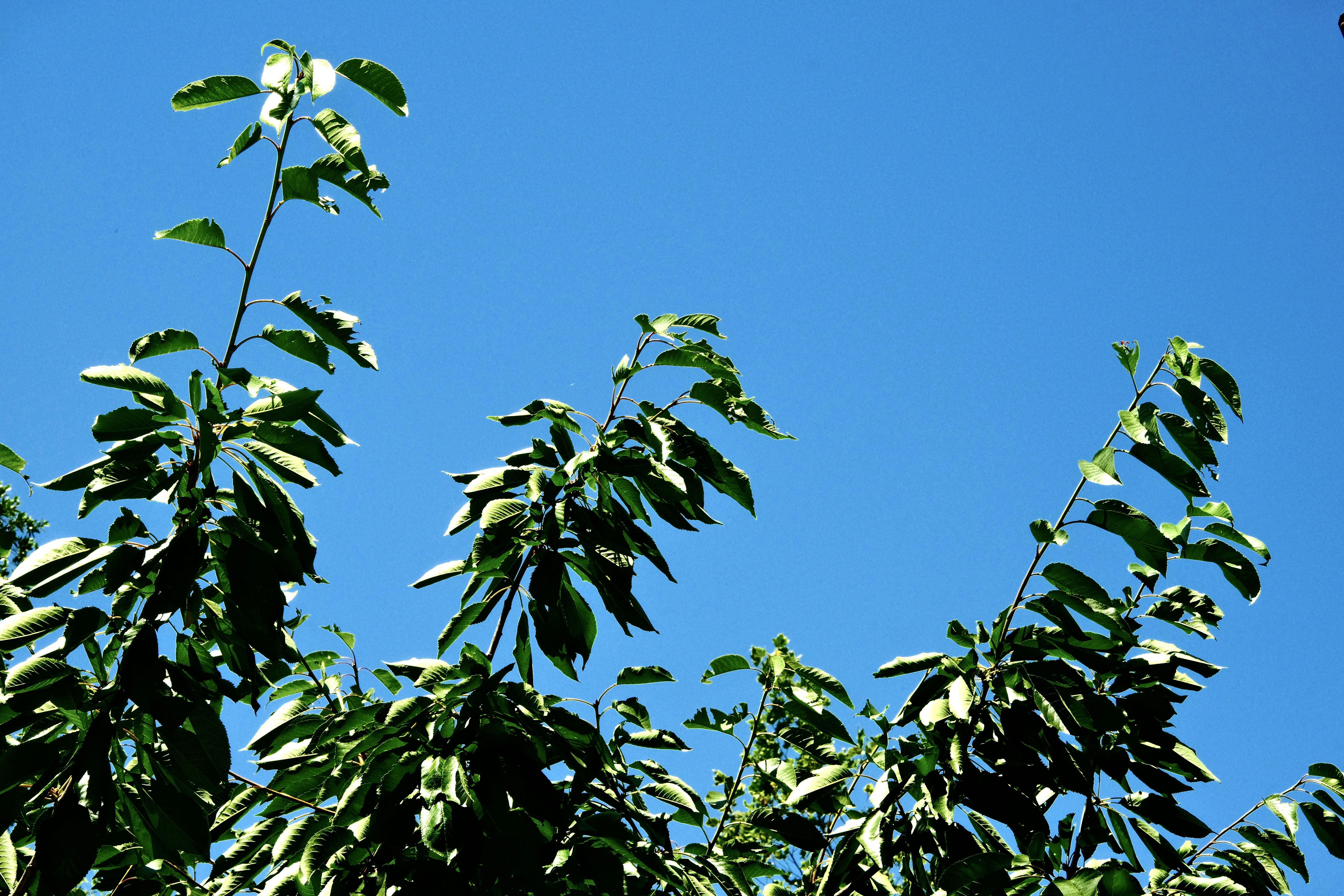 Photo by jacobmitani12