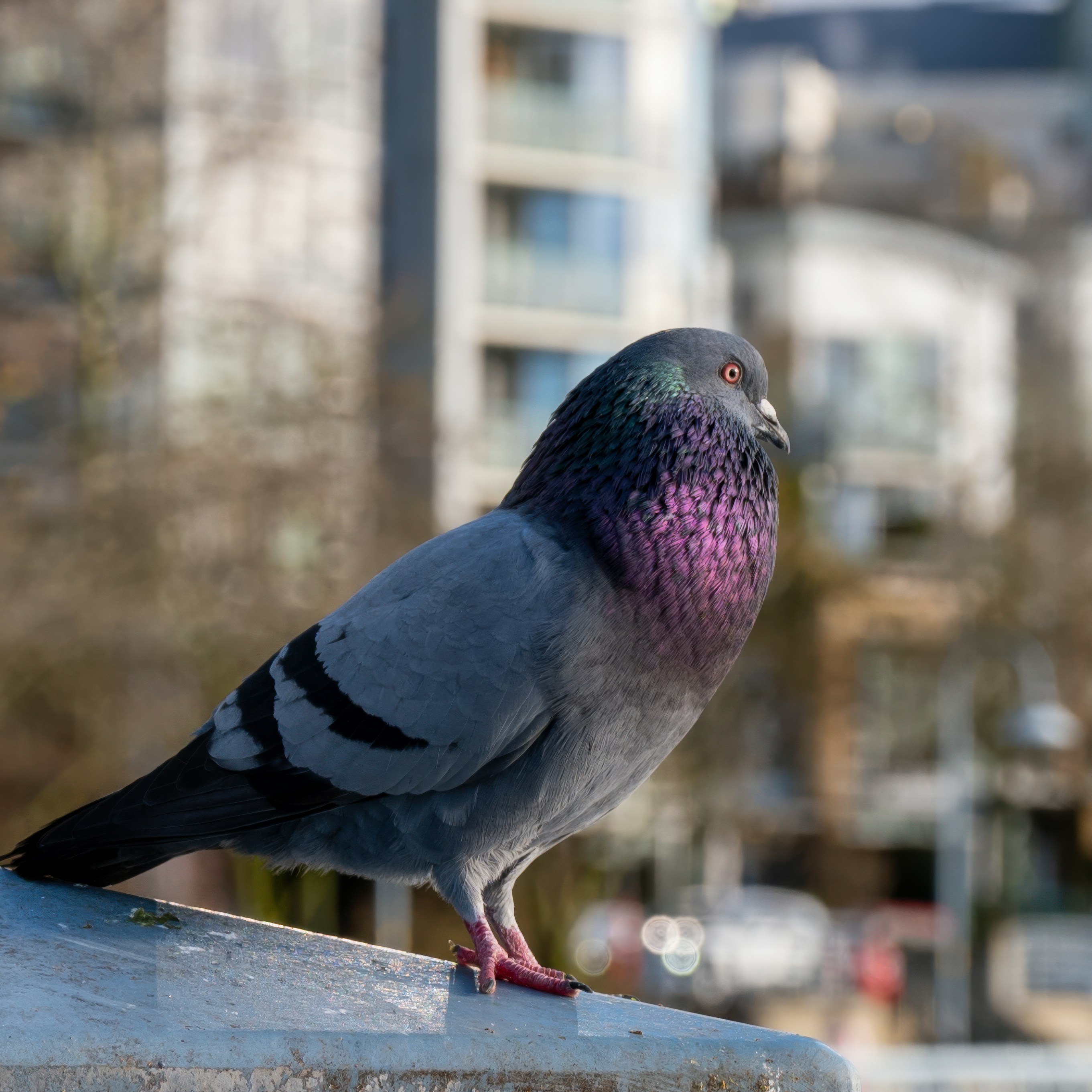 Photo by jonathankslim