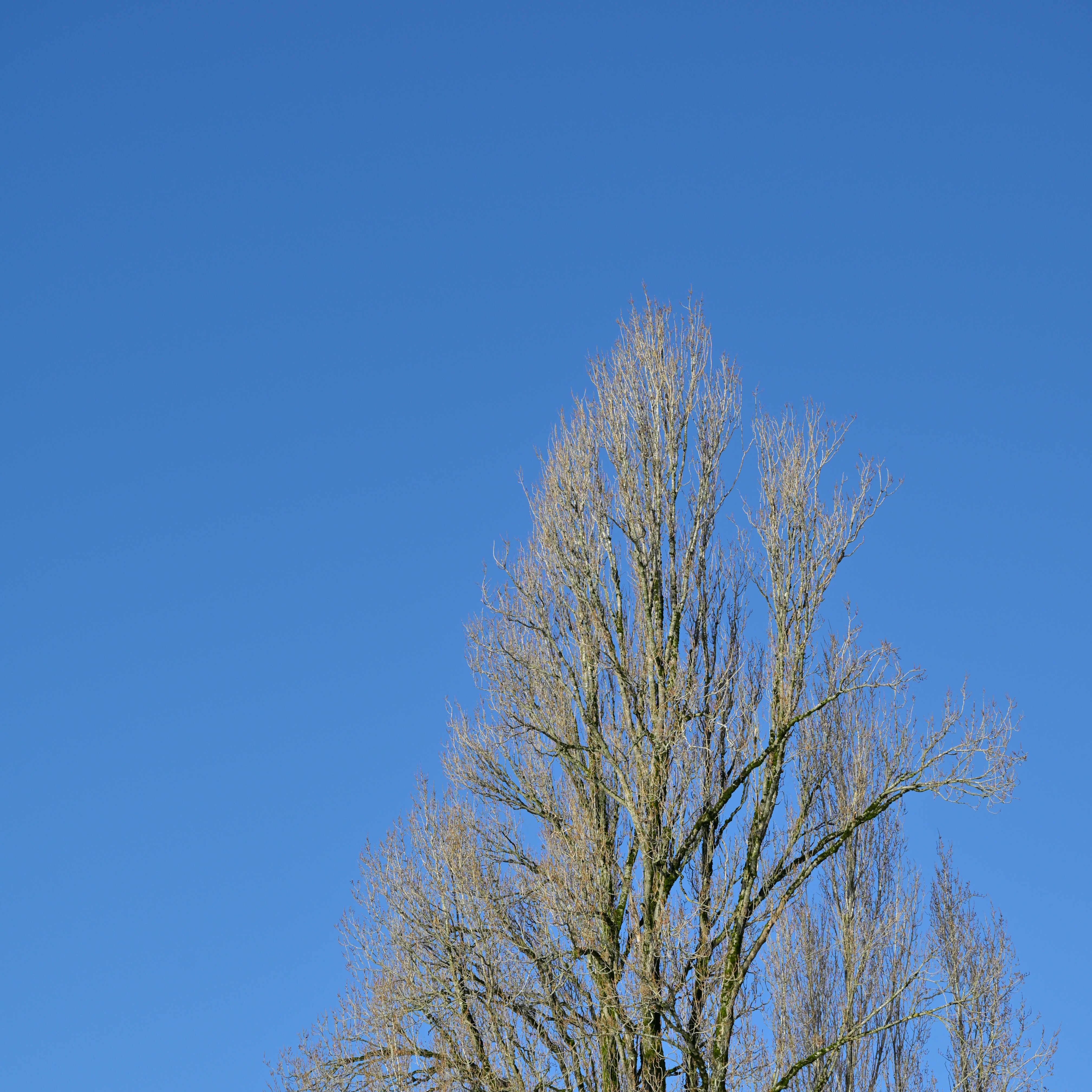 Photo by jonathankslim