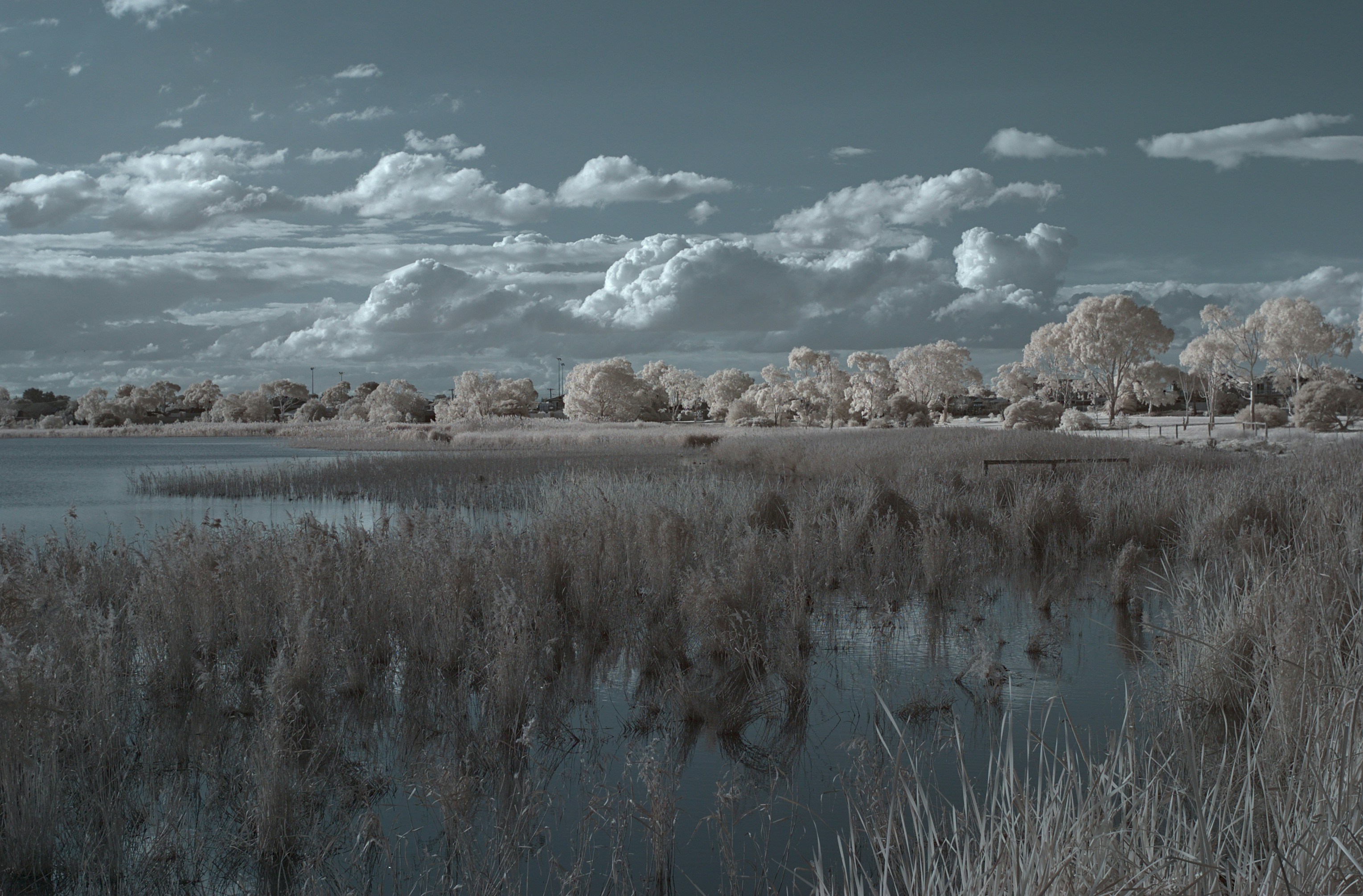 Photo by shiytoaster