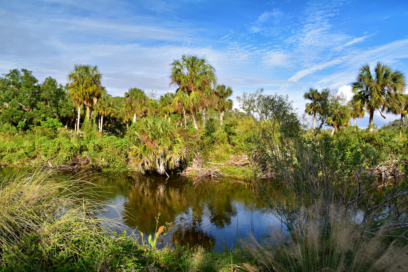 Waldorf Astoria Orlando: Grand Luxury Beside Walt Disney World