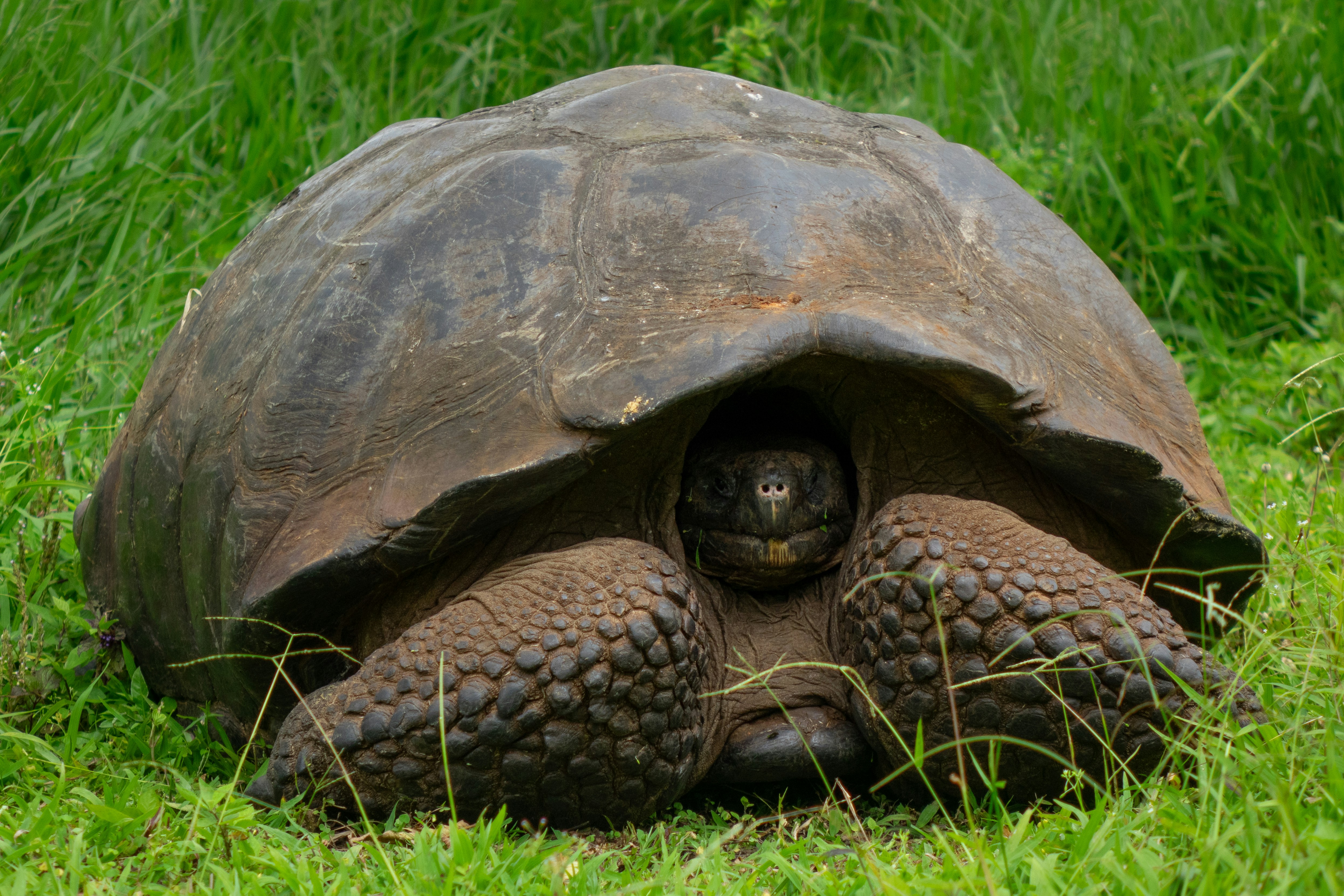 Photo by caitlinferwin