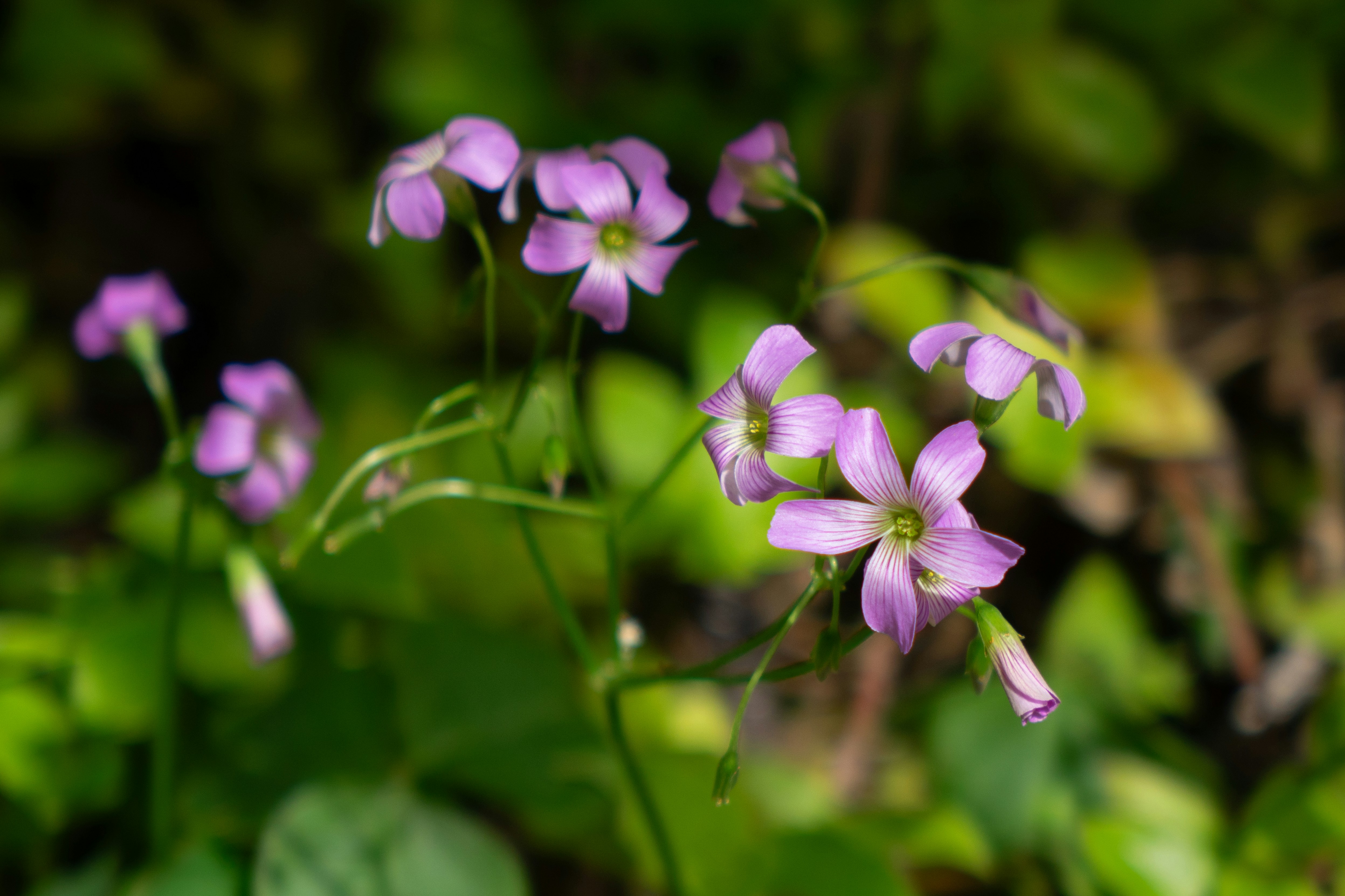 Photo by caitlinferwin