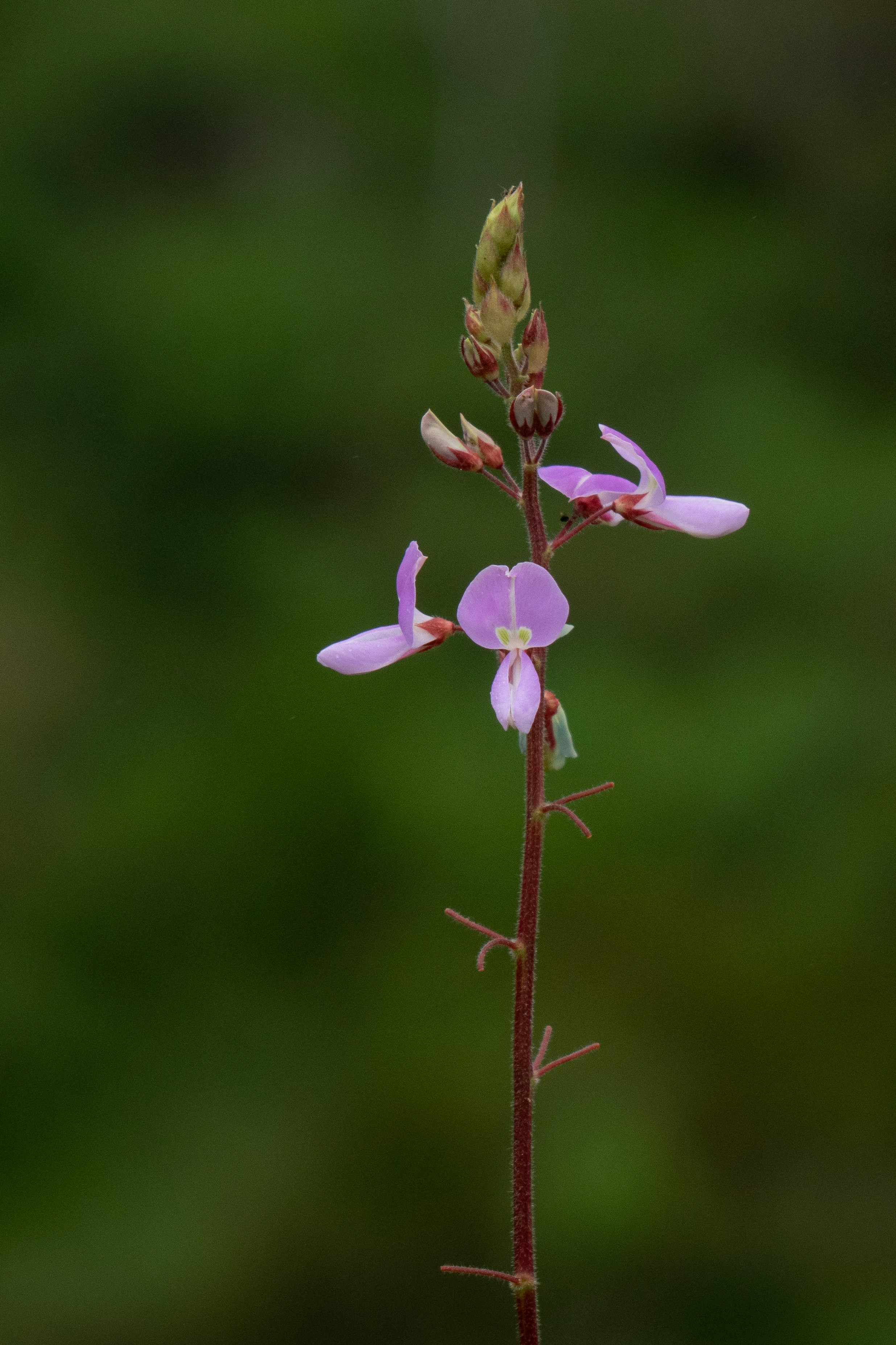 Photo by caitlinferwin