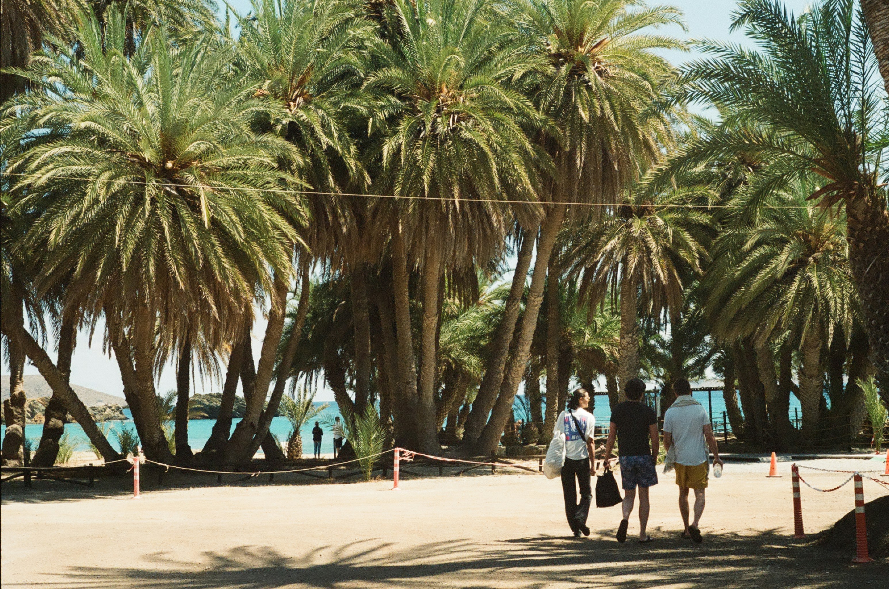 A group of people walking down a beach next to palm trees