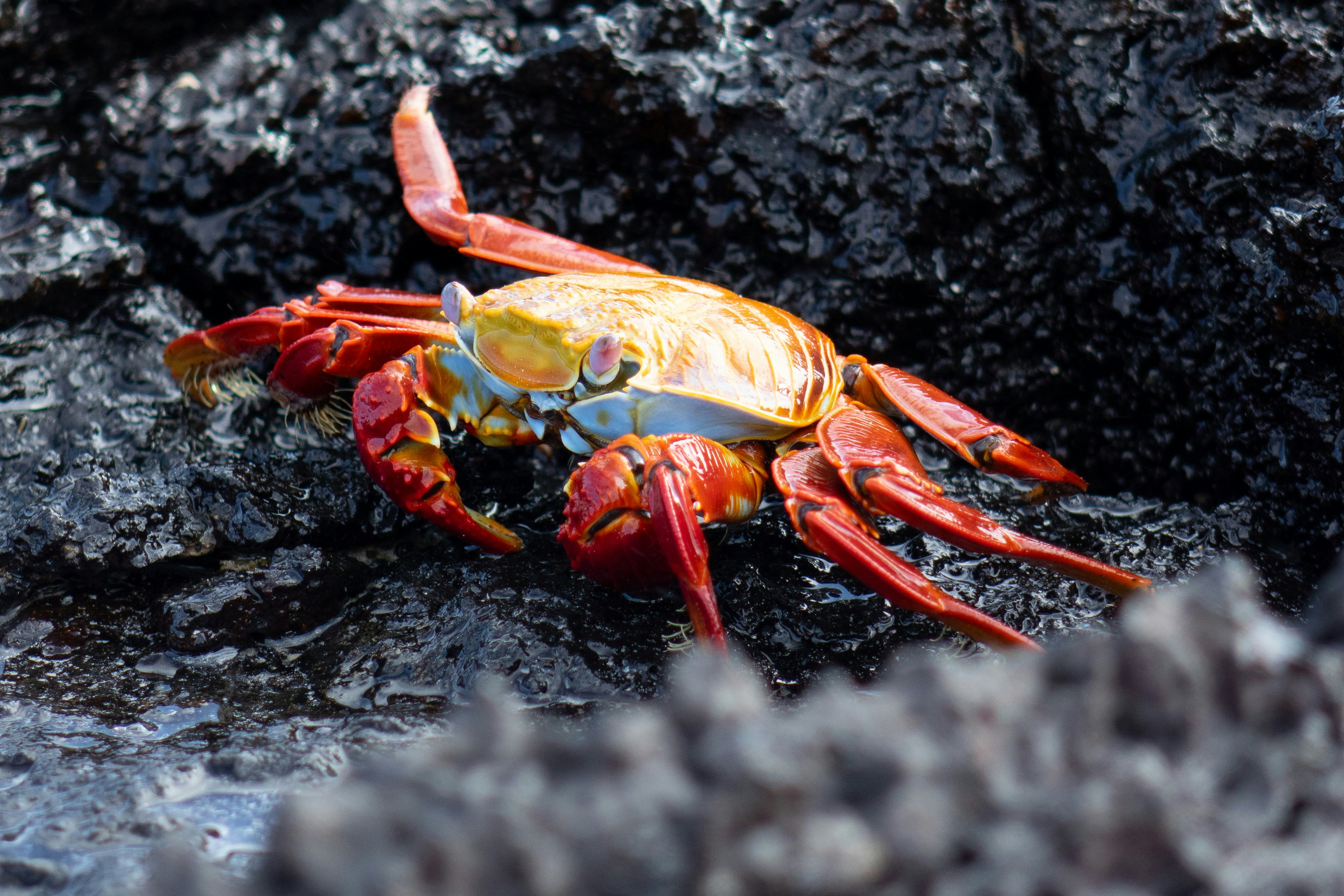 Photo by caitlinferwin