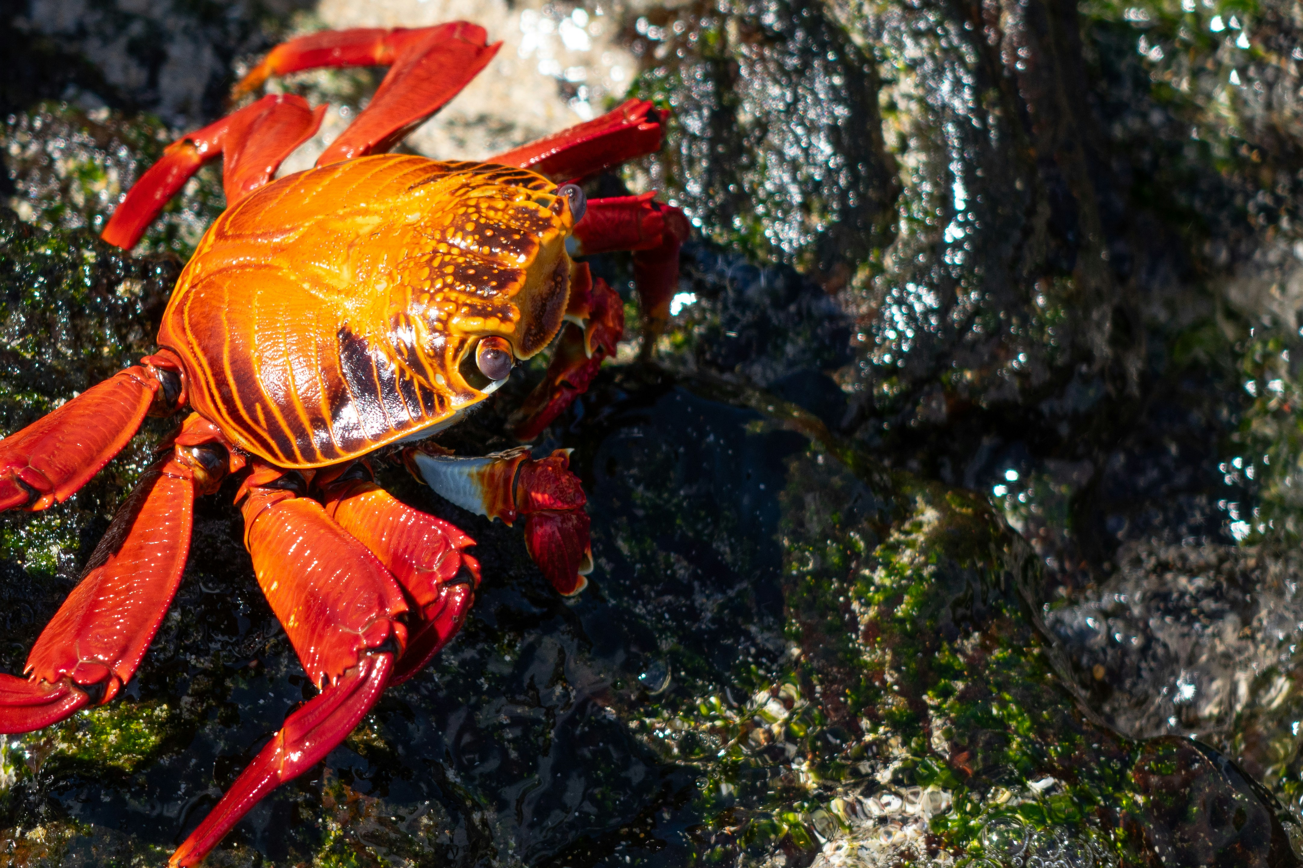 Photo by caitlinferwin