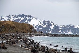 Polar expedition Iceberg planned by Francesco Margaretini Luxury Travel Villas Weddings Honeymoon
