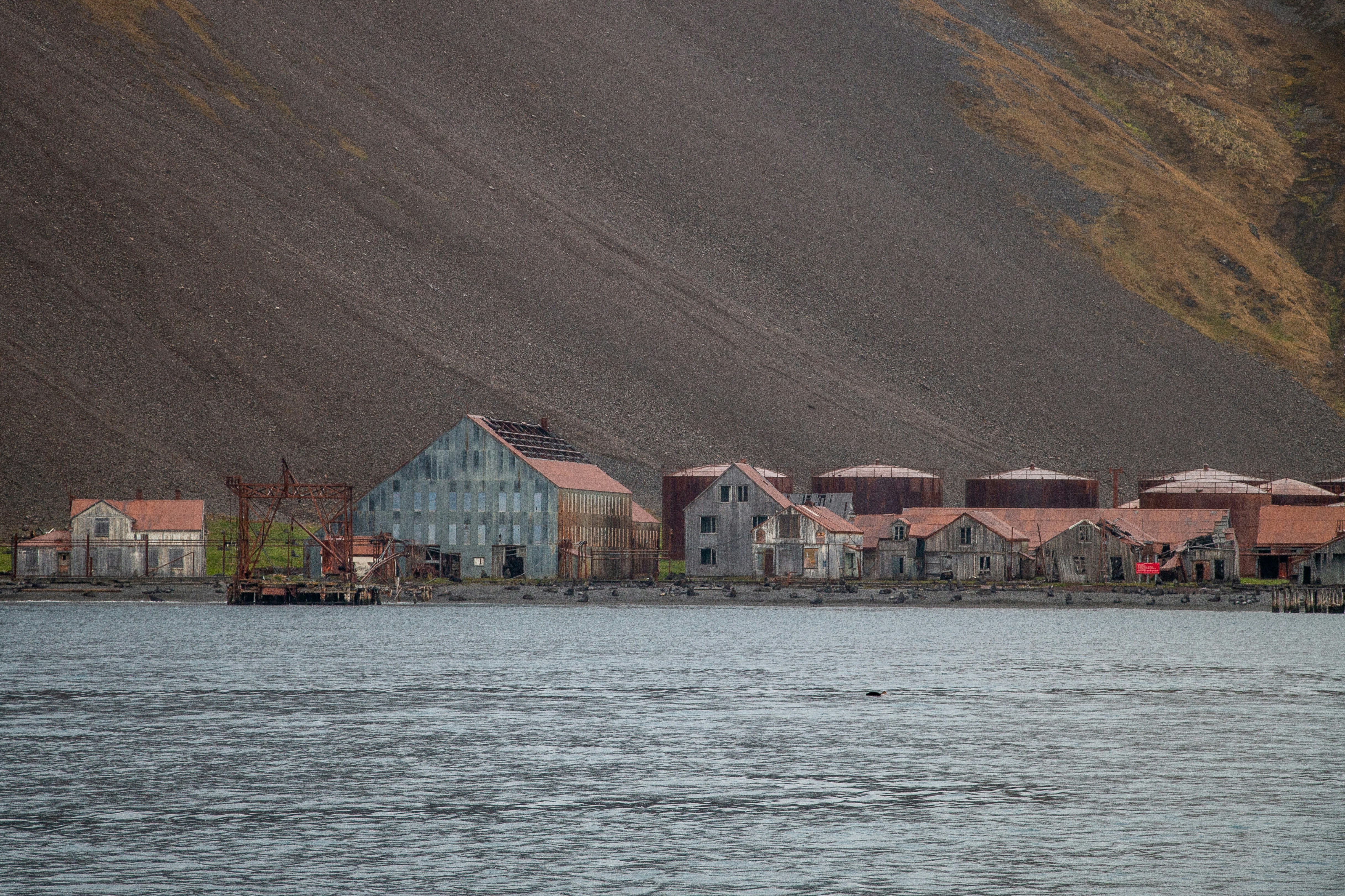 Photo by arcticdesirecom