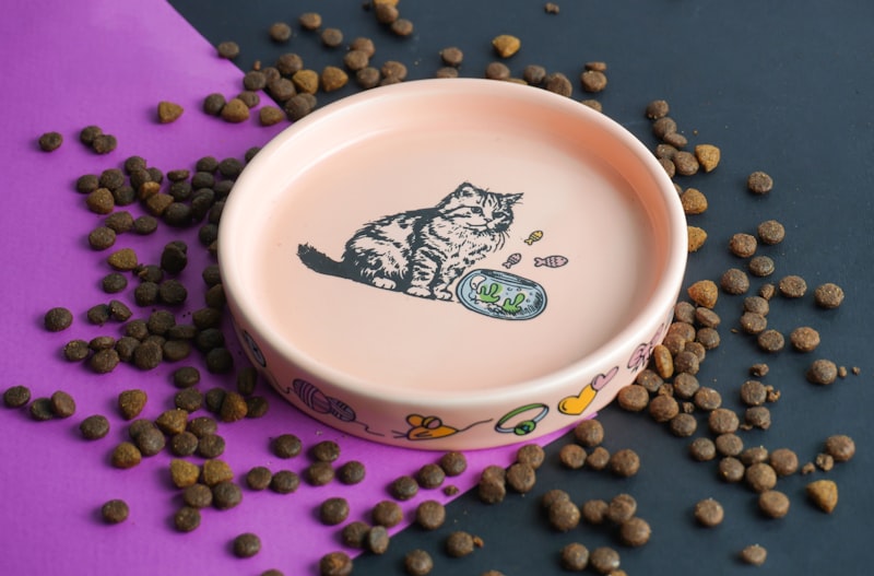 Pet food bowls