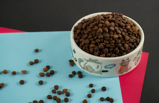 A bowl of dog food sitting on top of a table