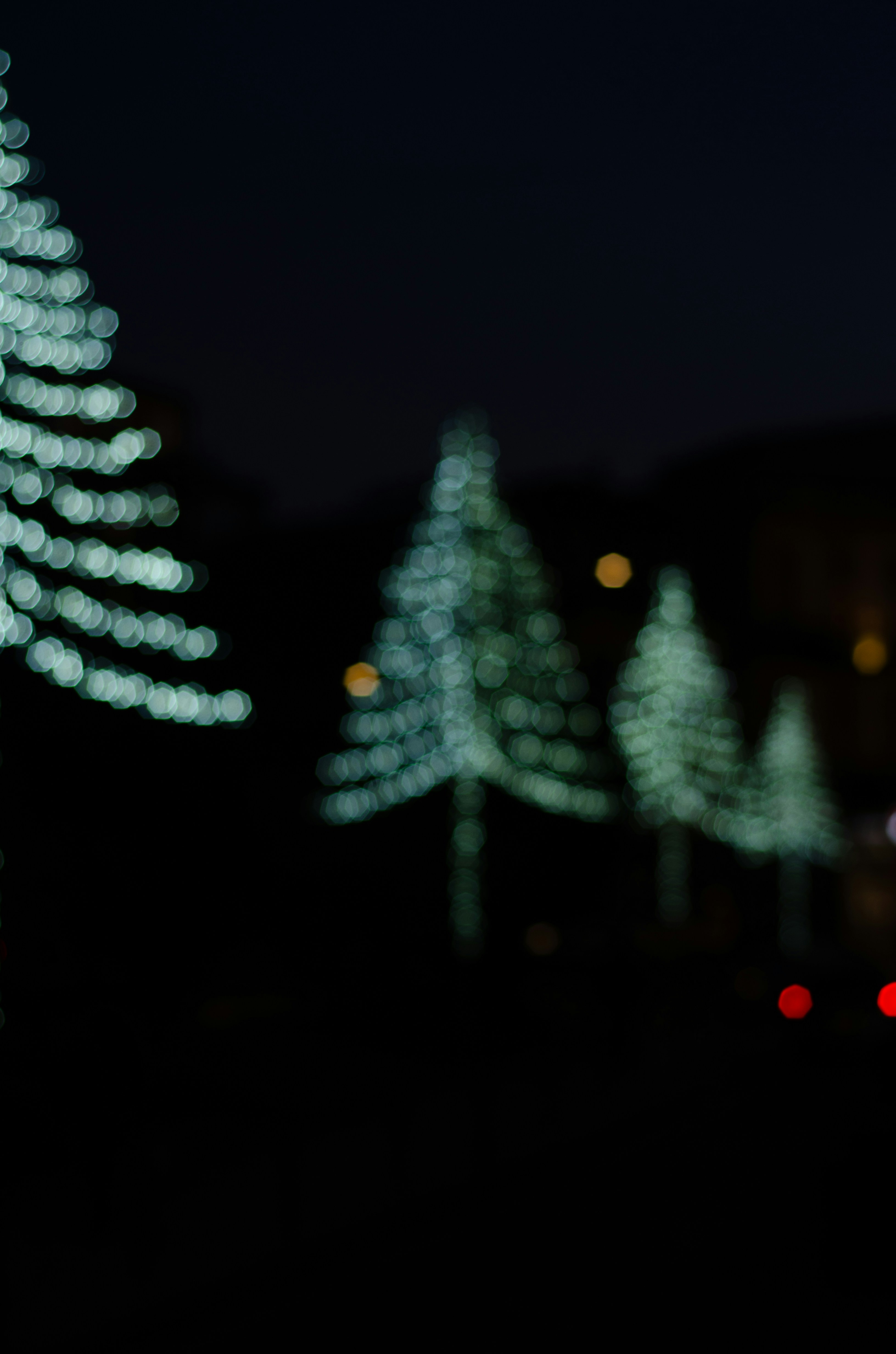 Photo by mrp_oliveira