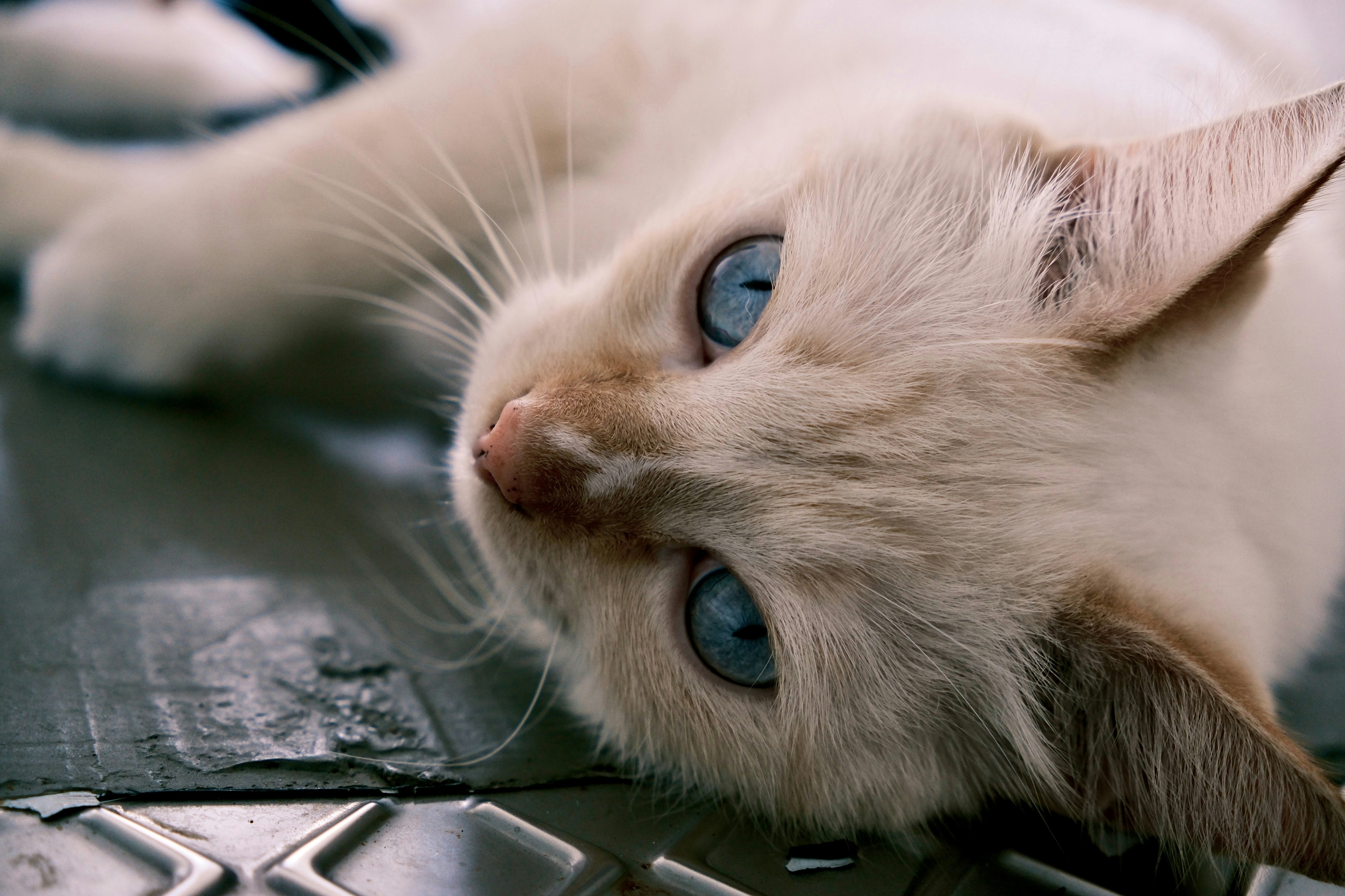 Share Your Progress with a Support Network (image credits: unsplash)