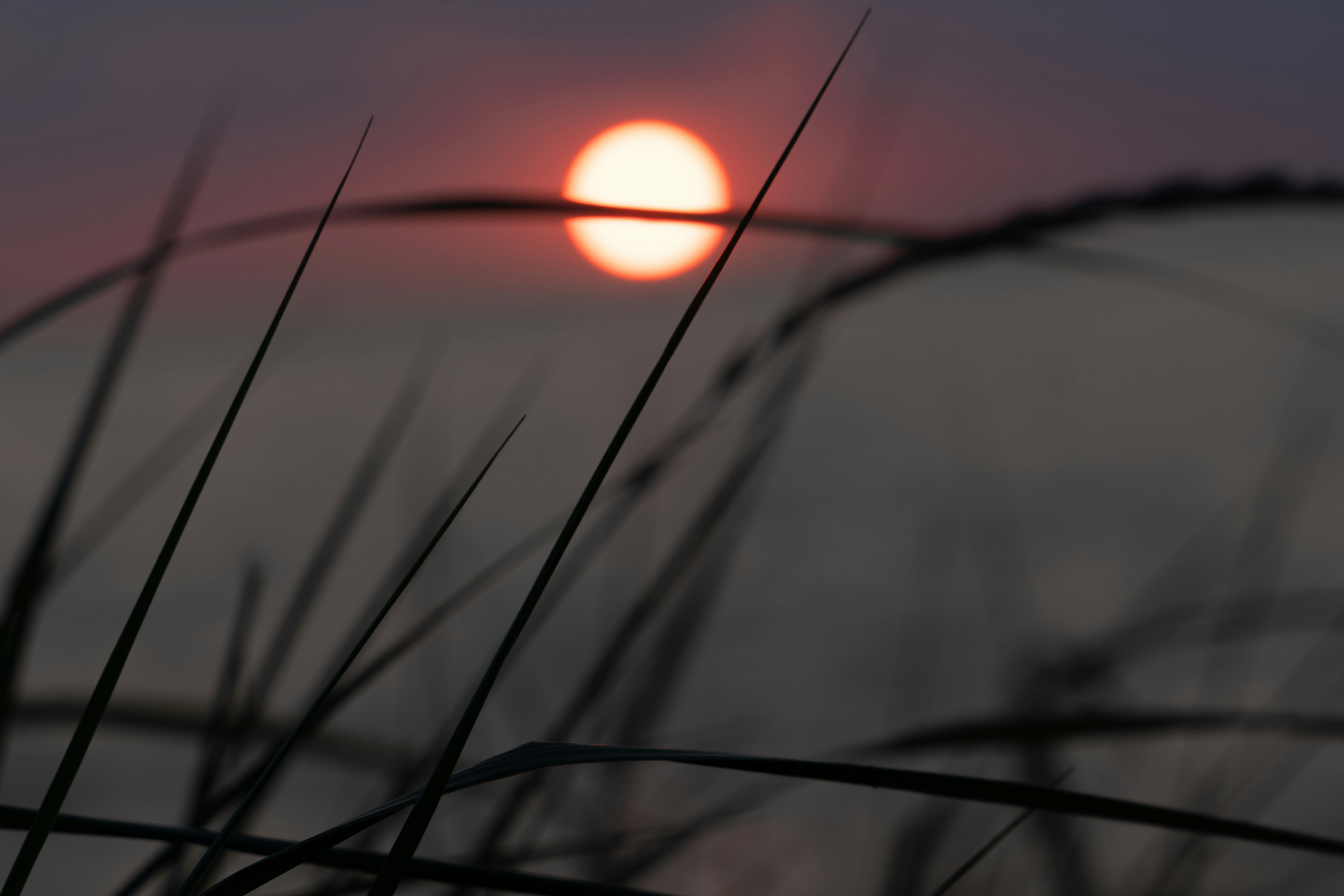 Photo by ghostdogg187