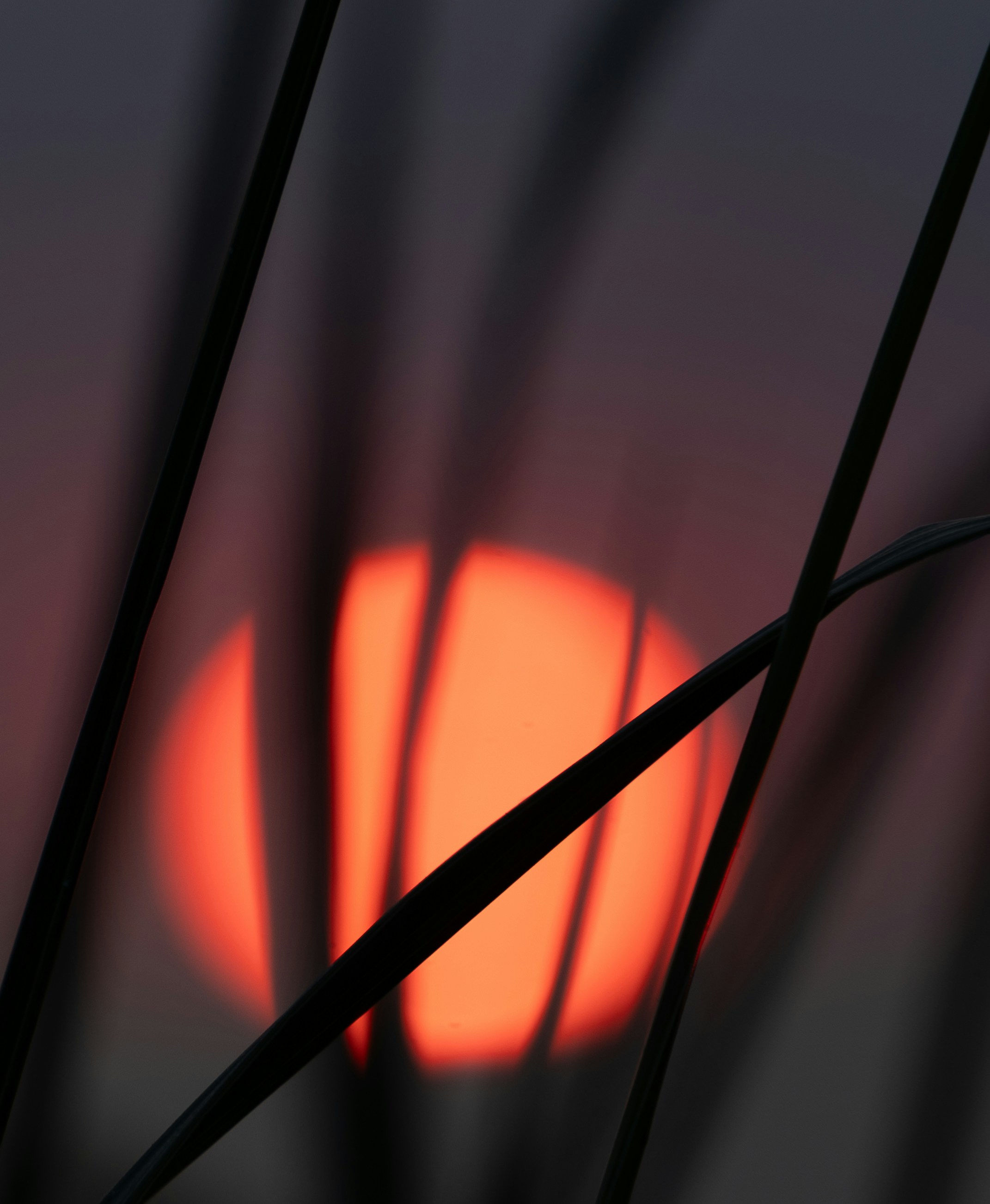 Photo by ghostdogg187