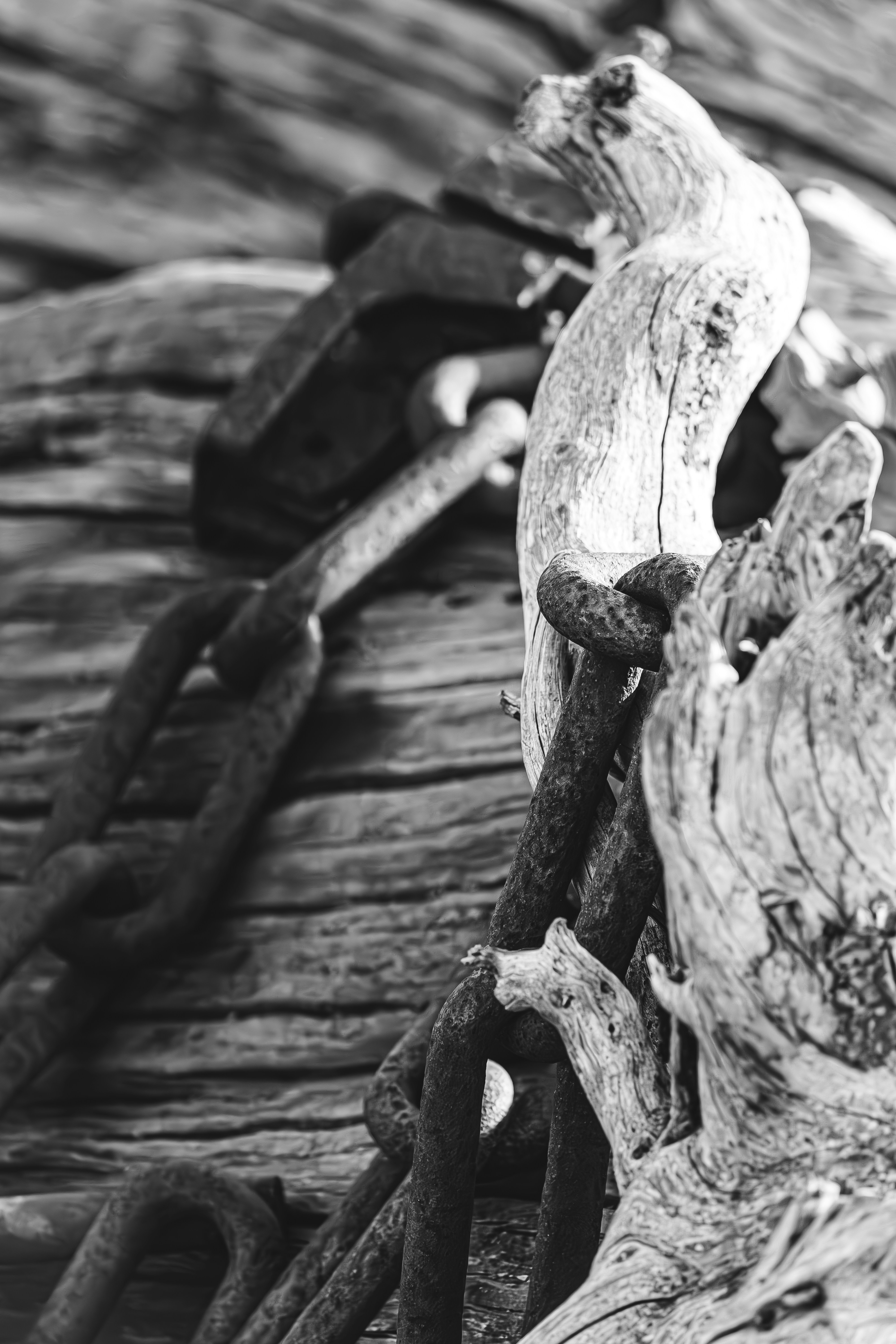 Photo by ghostdogg187