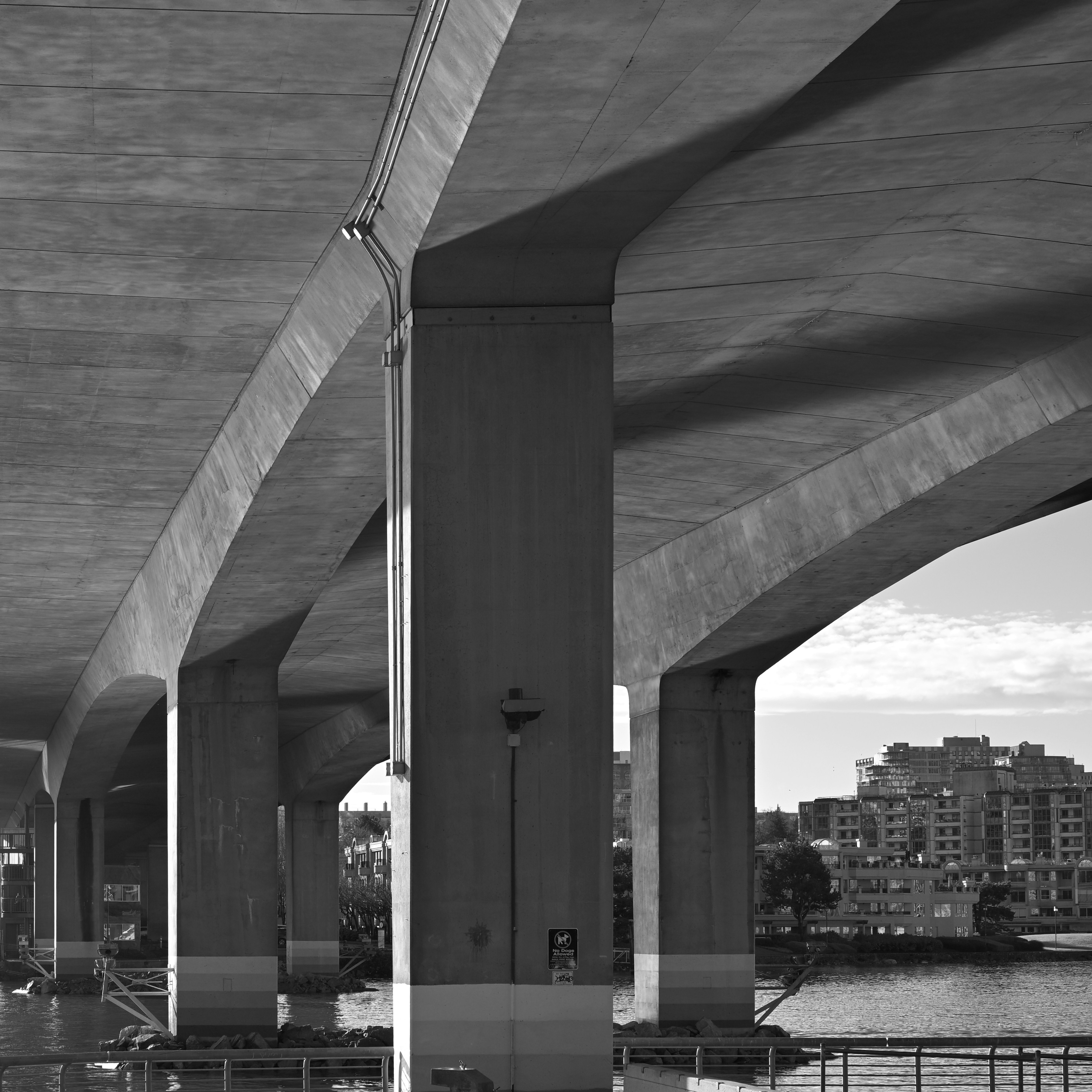 Photo by jonathankslim