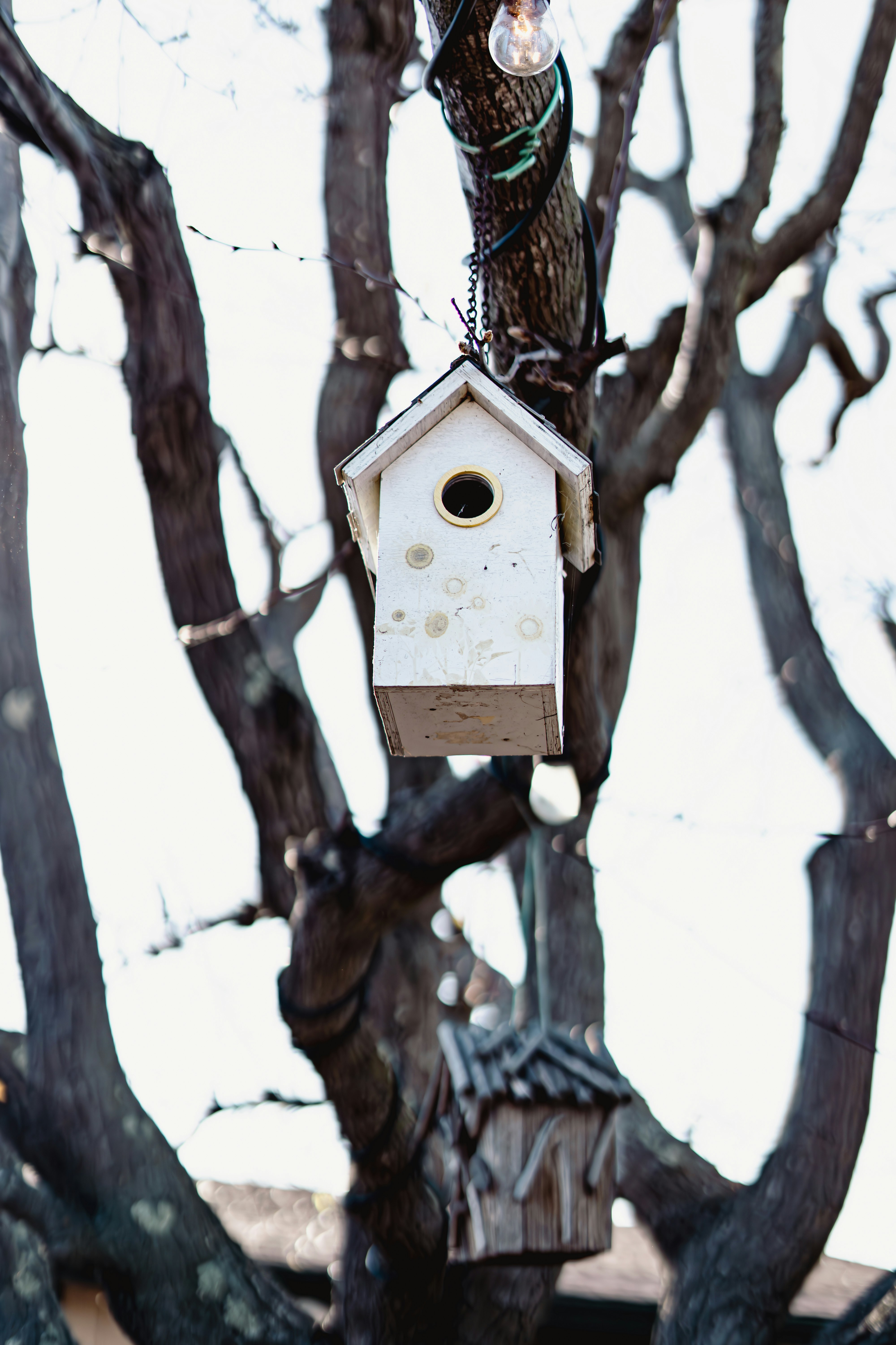 Photo by ghostdogg187