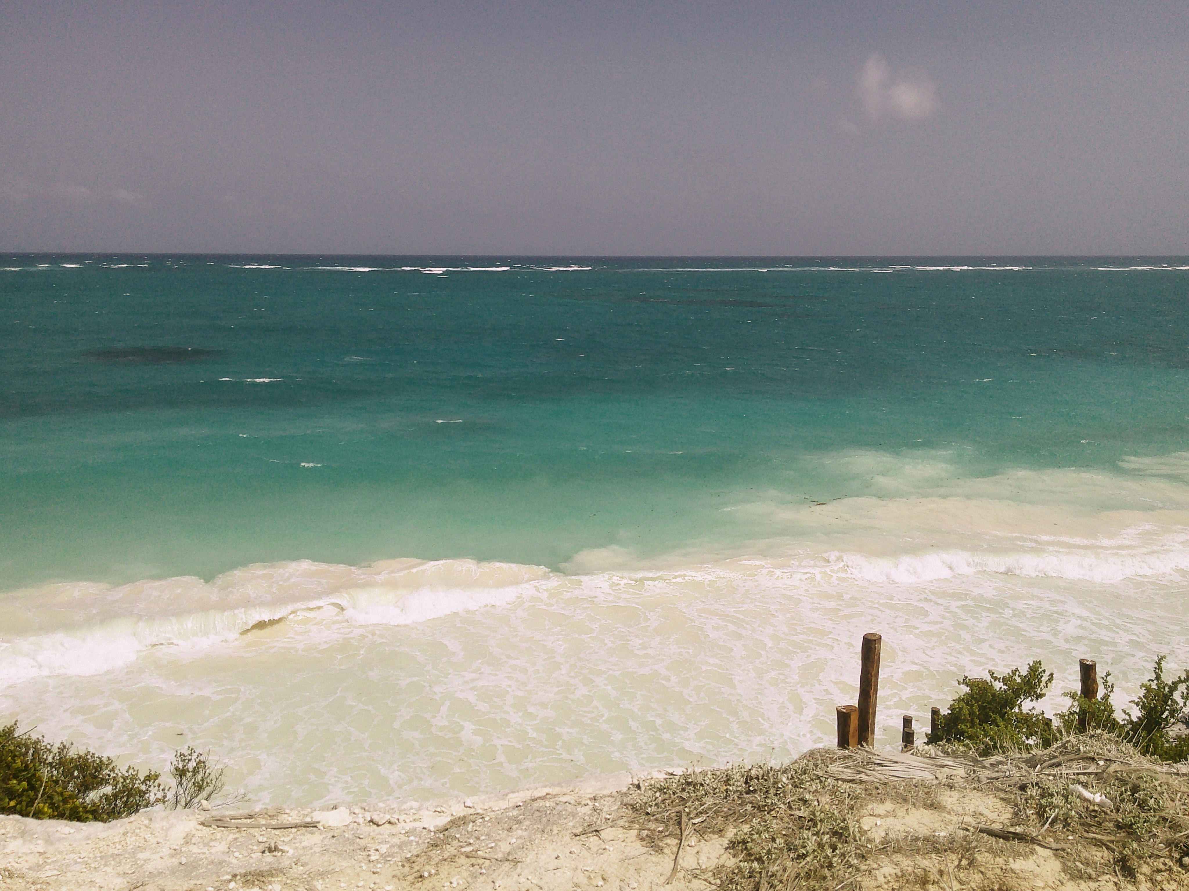 Photo by crimsoncanna