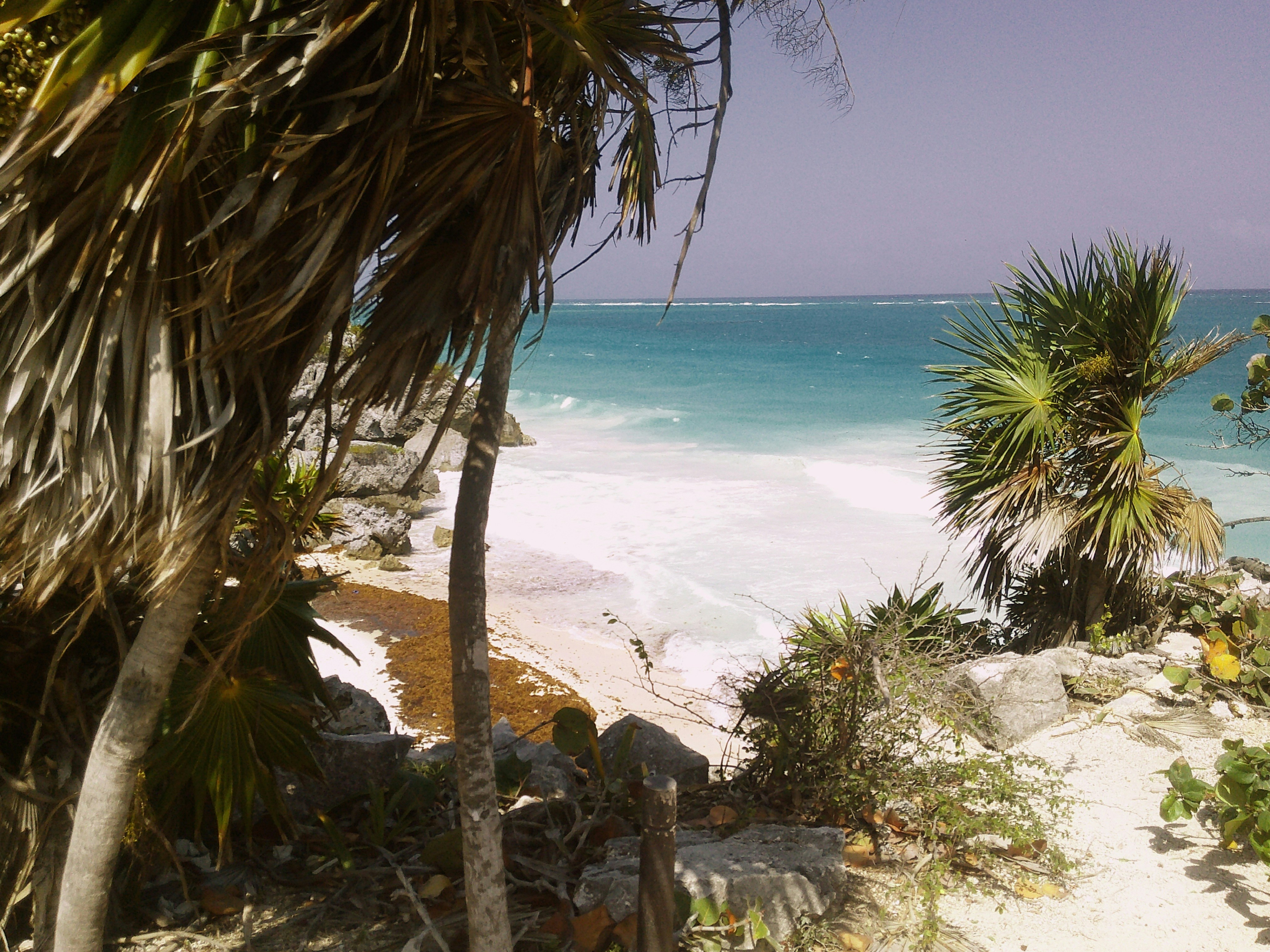 Photo by crimsoncanna