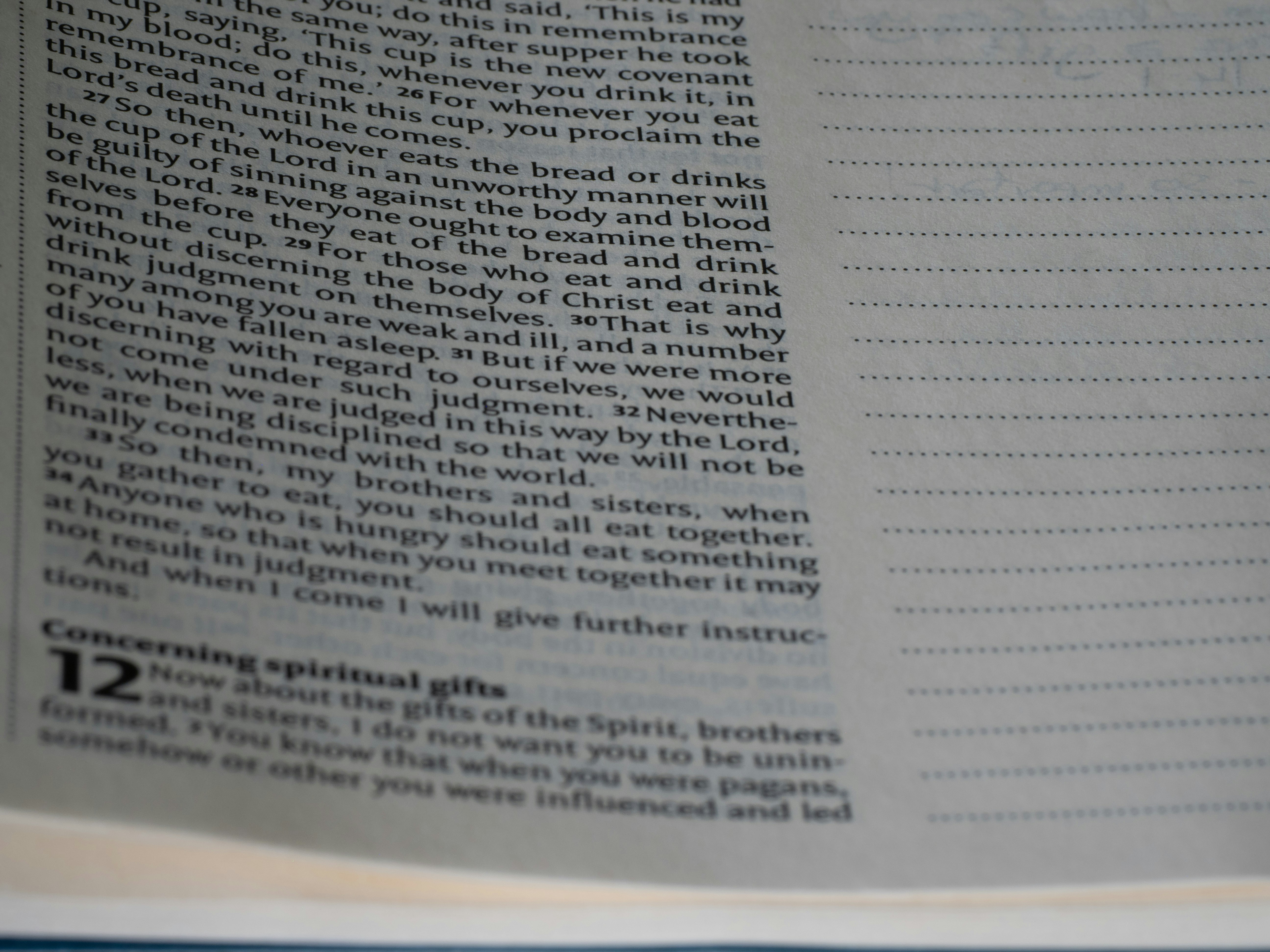 Photo by brett_jordan