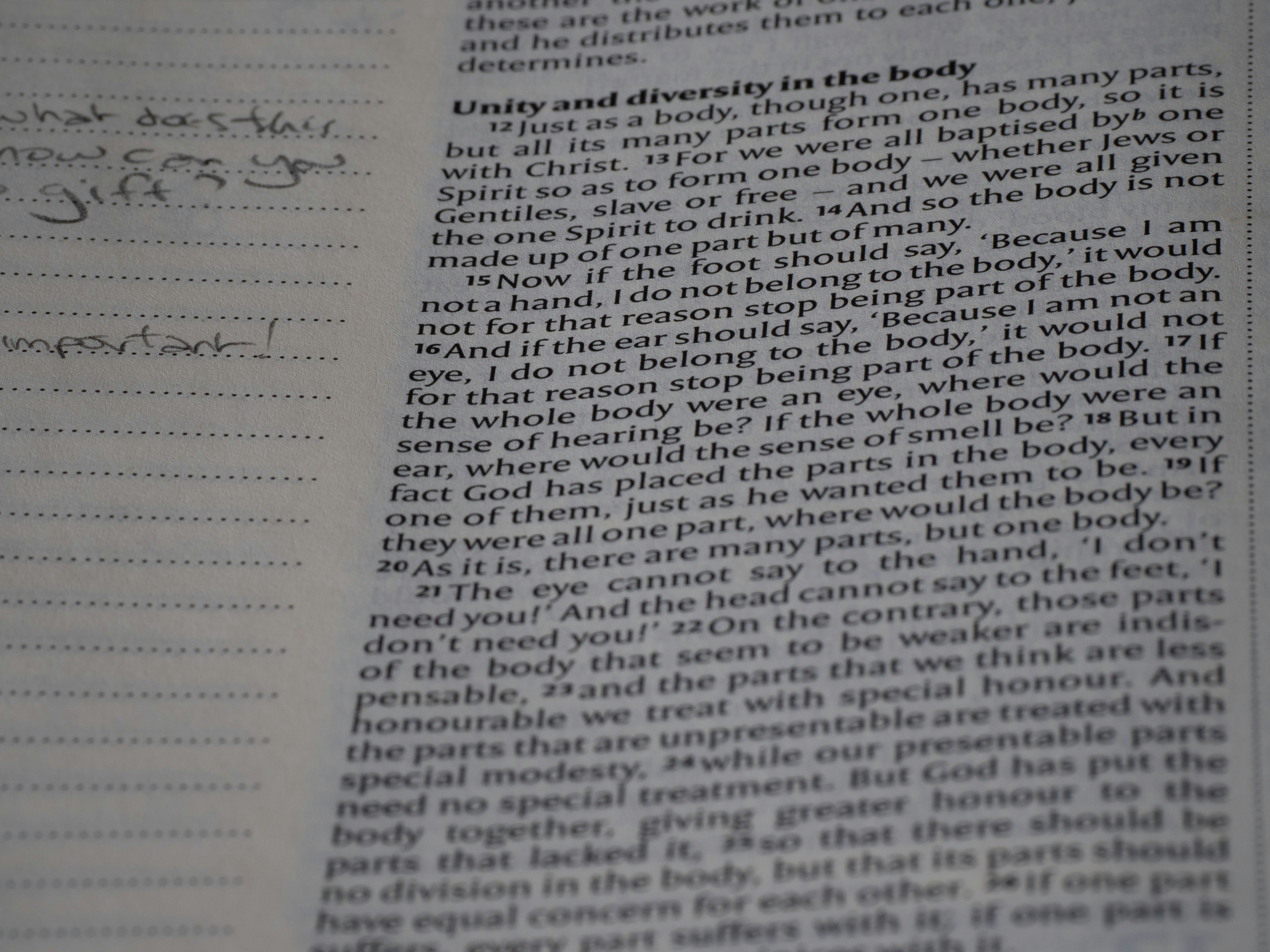 close up, bokeh, bible, new testament, christian, history, text, reading, bible study, devotions, christianity, scripture, epistle, letter, corinthians, 1 corinthians, sosthenes, spiritual gifts, love, morality, immorality, grace,