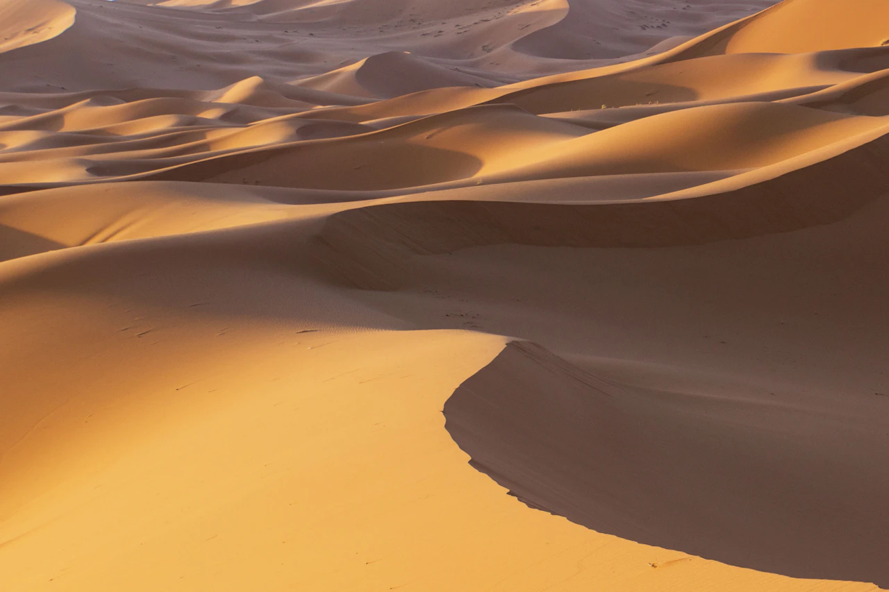 A desert landscape with sand dunes and trees
