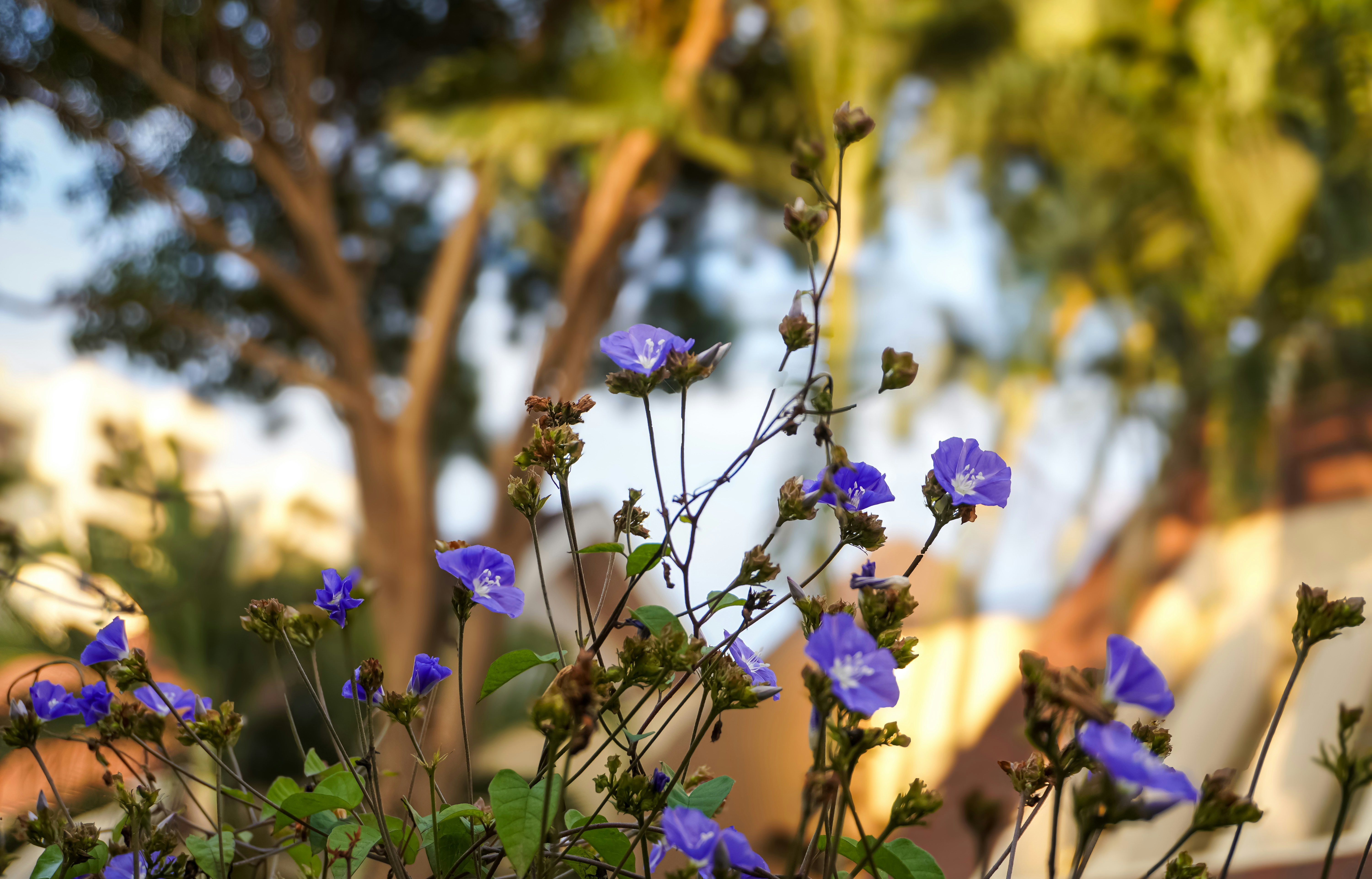 Photo by pparimita19