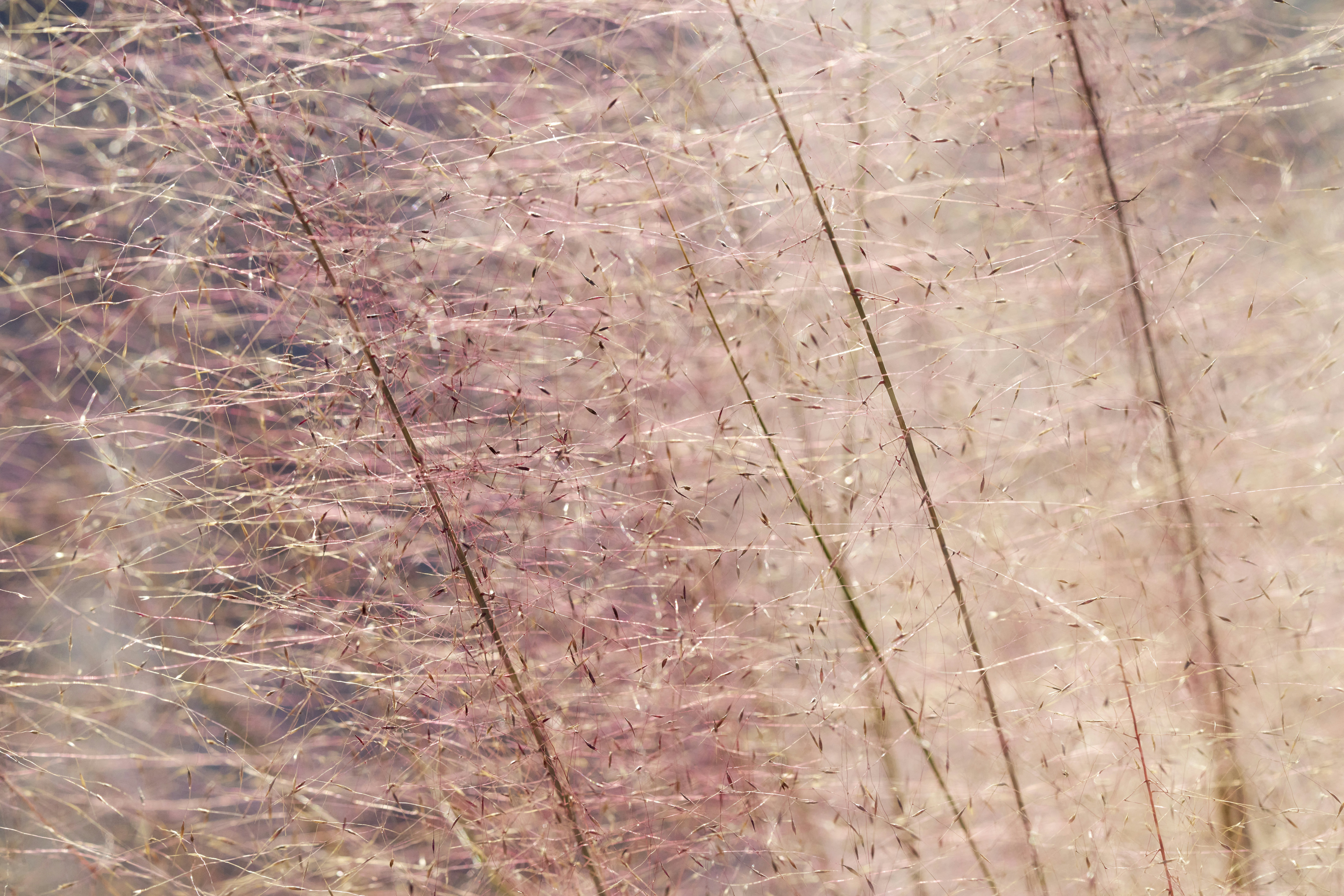 A blurry image of a bunch of wires in the air