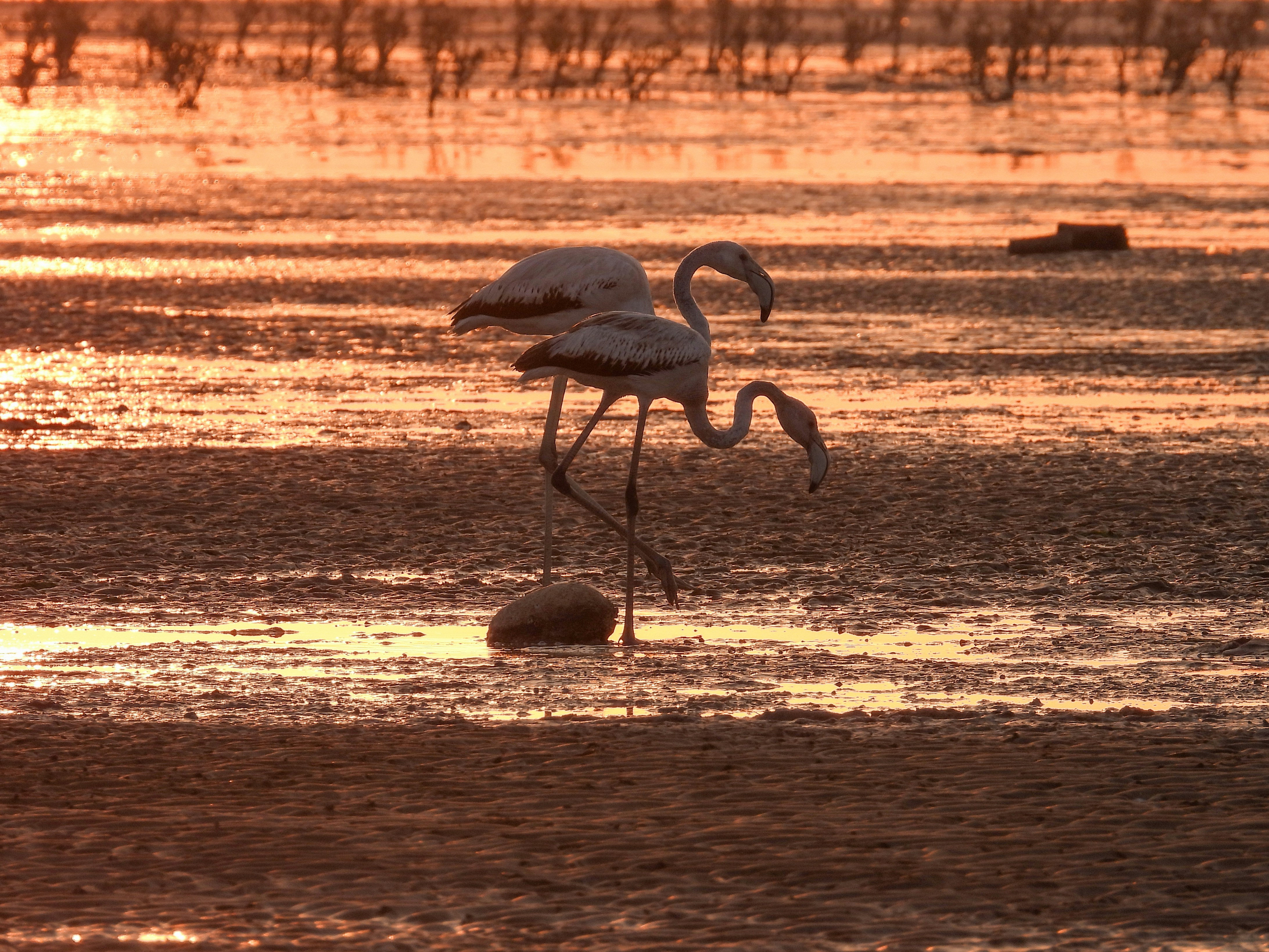 Photo by aliarjmandi