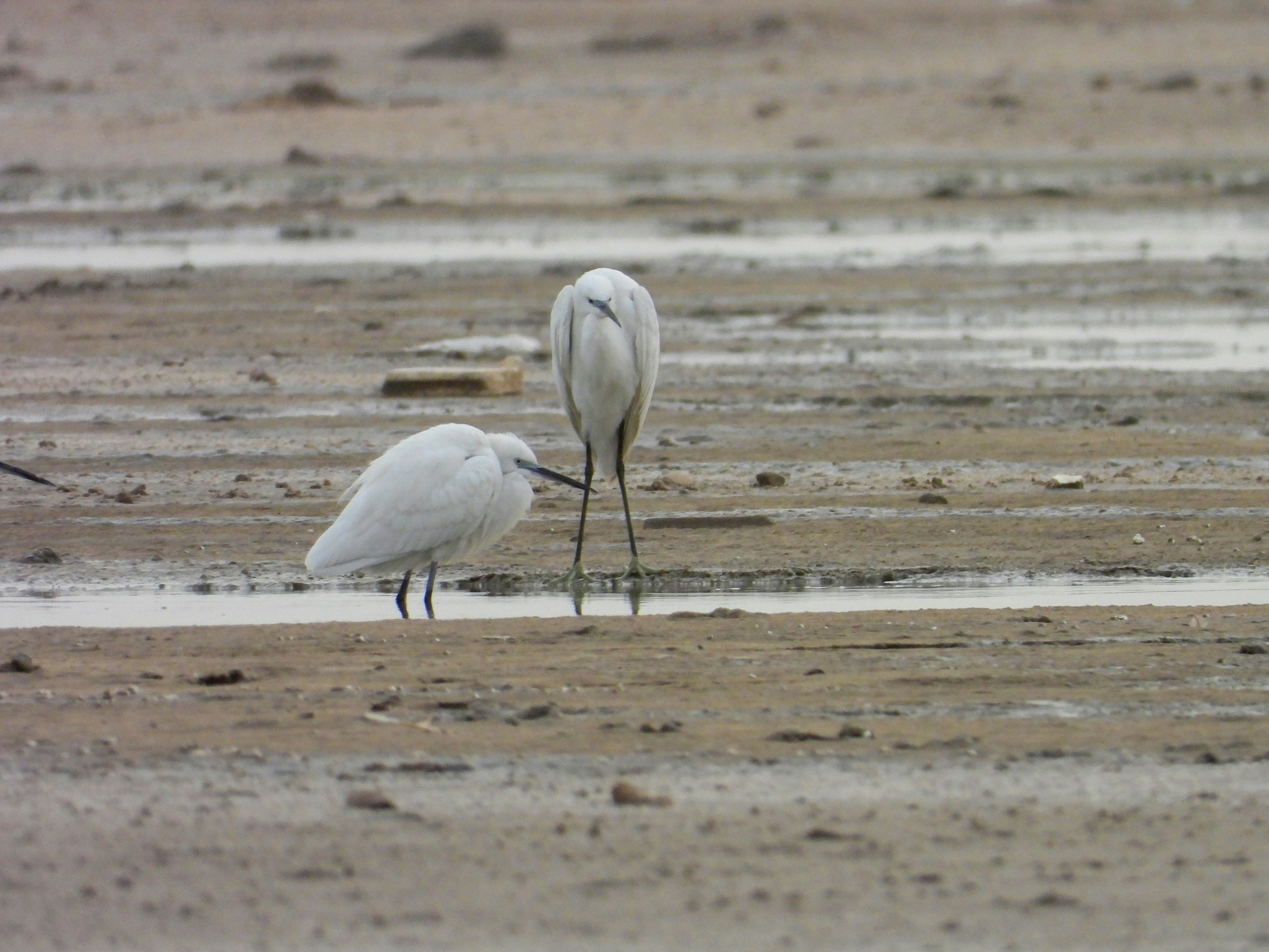 Photo by aliarjmandi