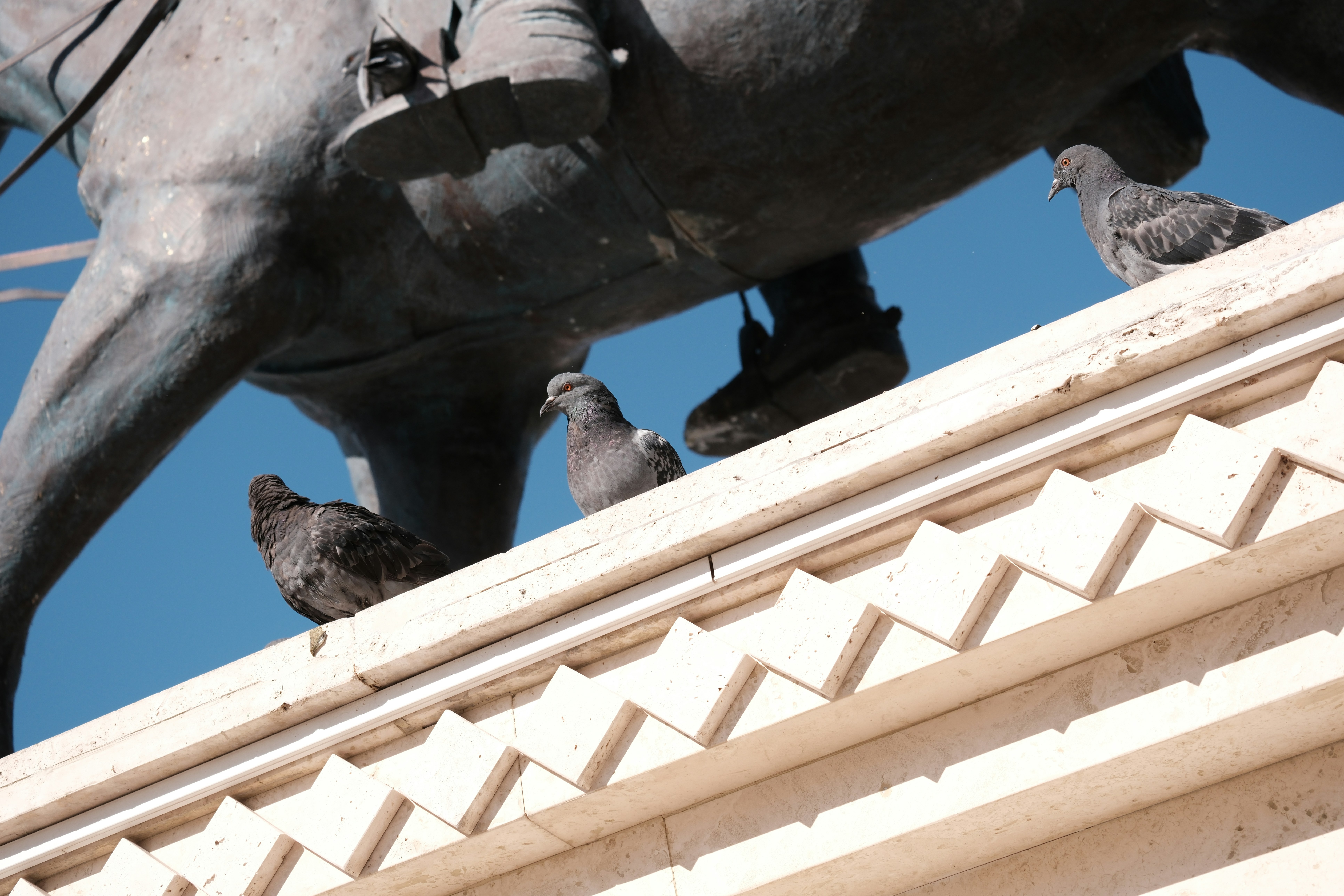 A statue of a man riding a horse with pigeons