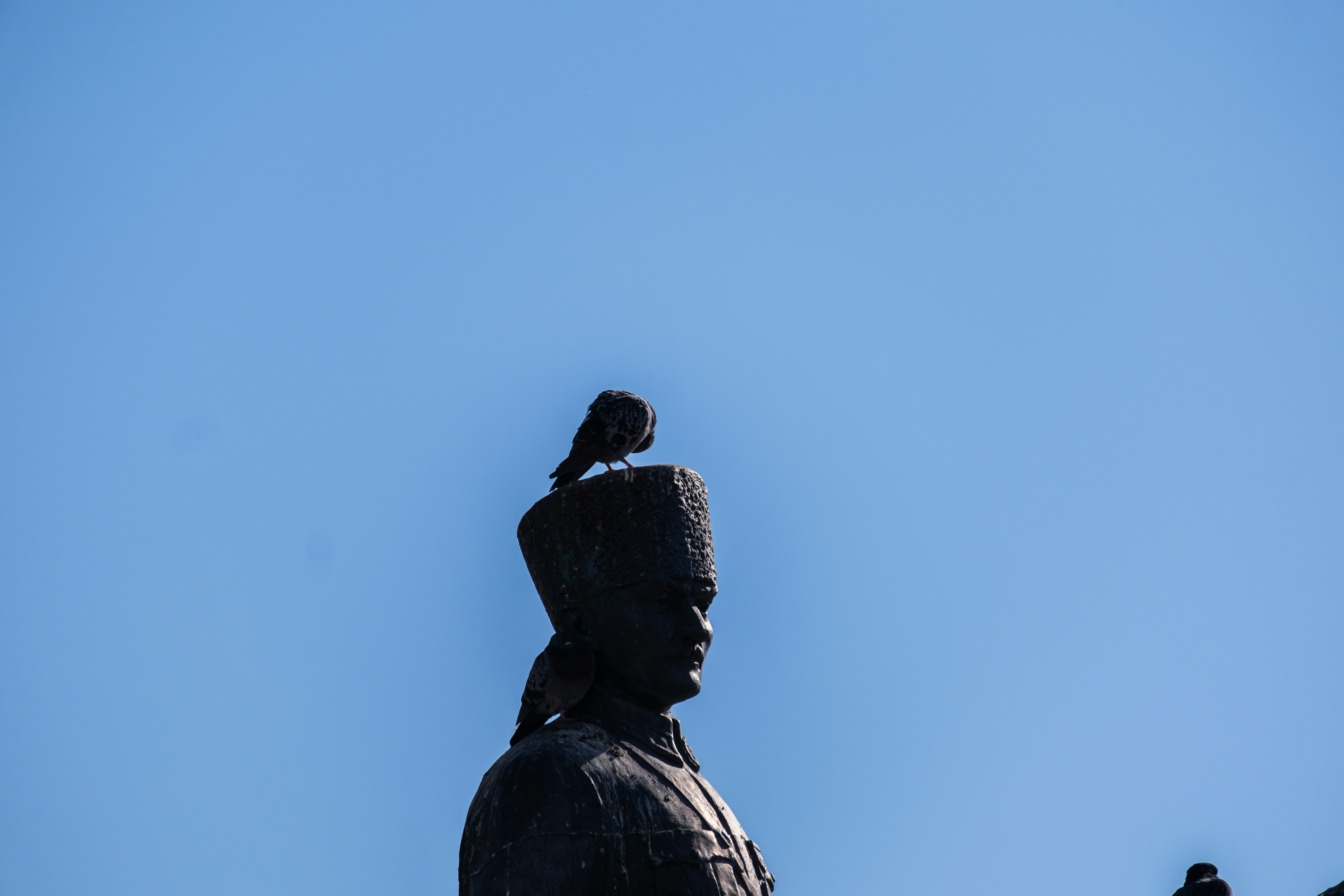 A statue of a man with a bird on his head photo – Free Statue Image on ...