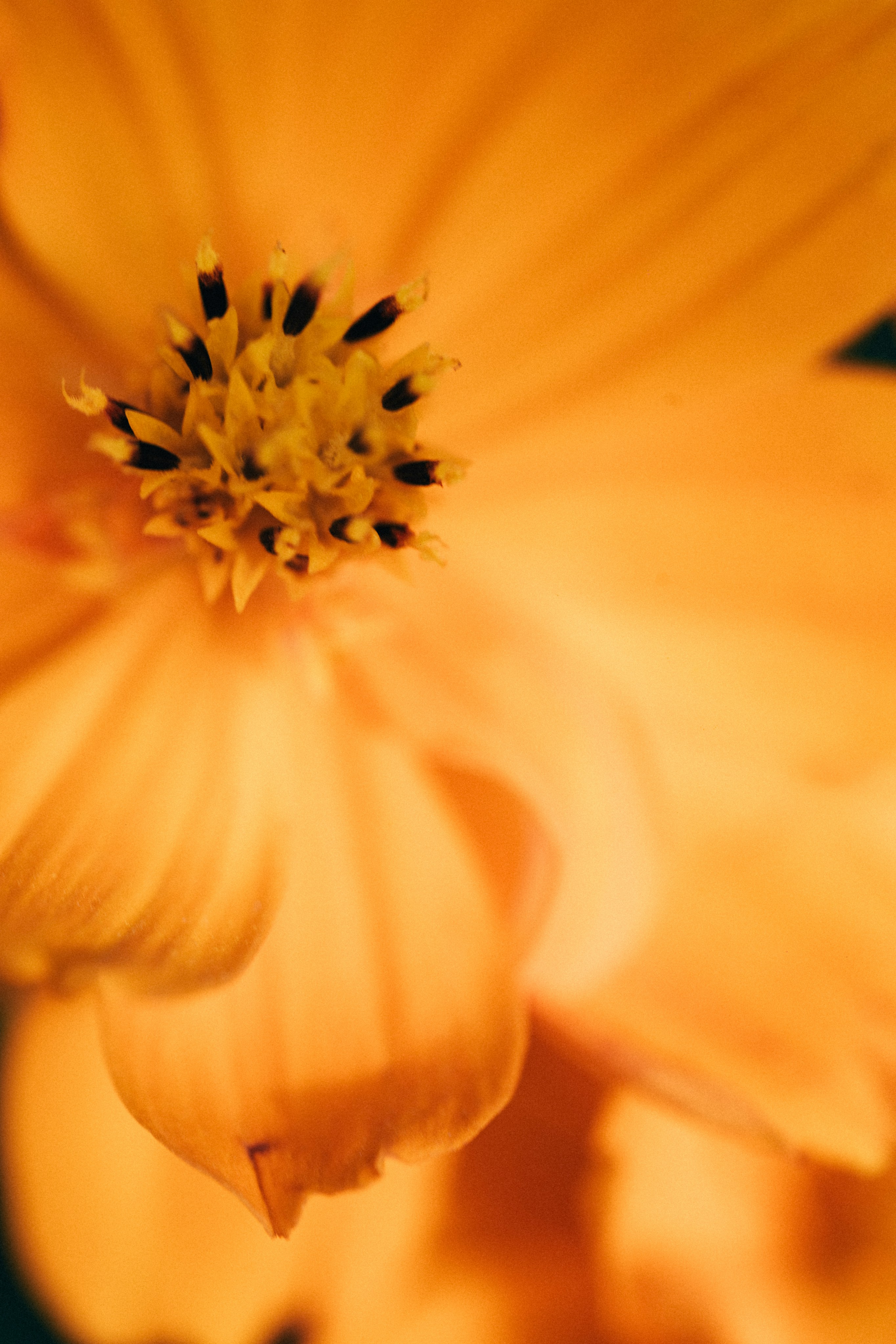 Photo by tsuyoshikozu