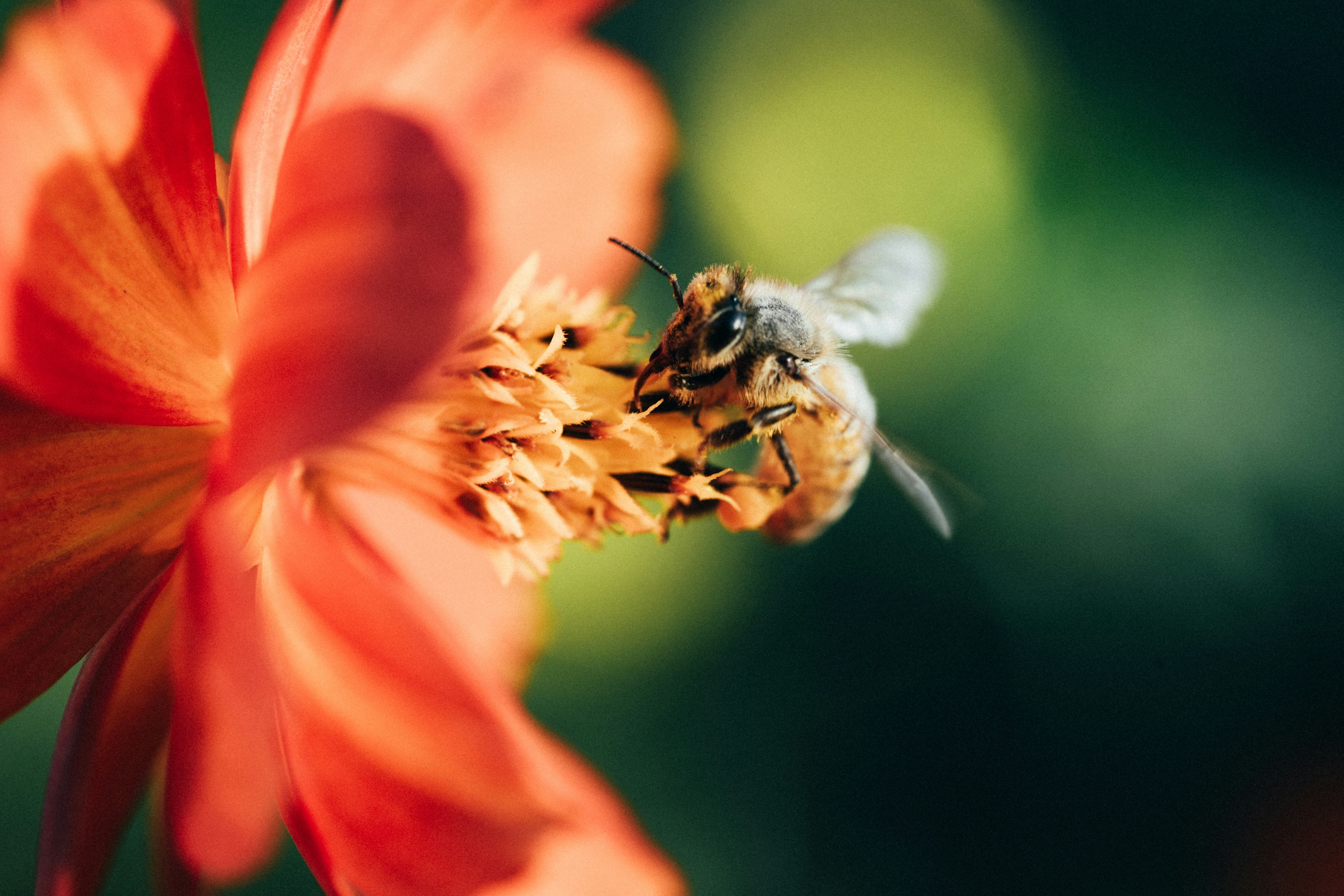 Photo by tsuyoshikozu