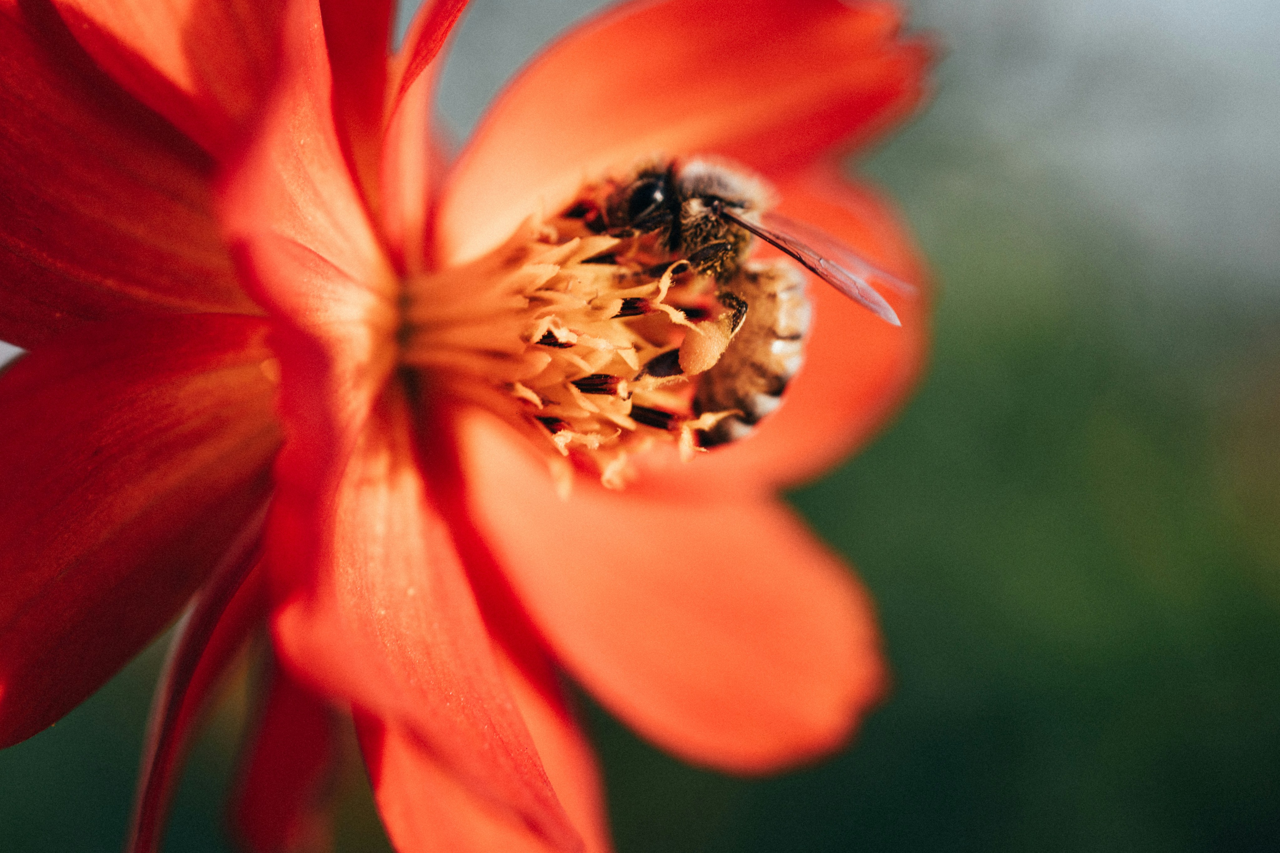 Photo by tsuyoshikozu