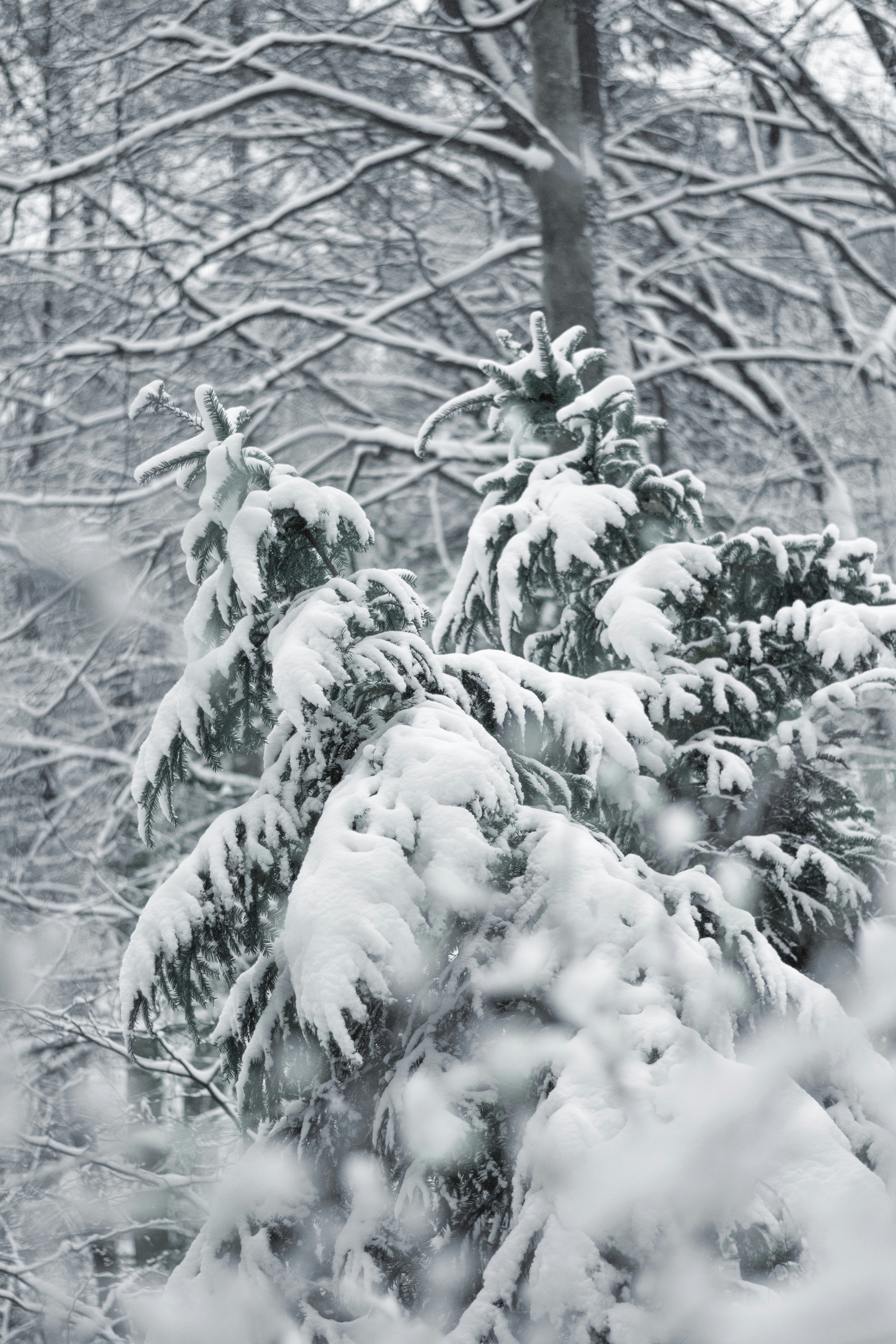 Photo by karynaviktori