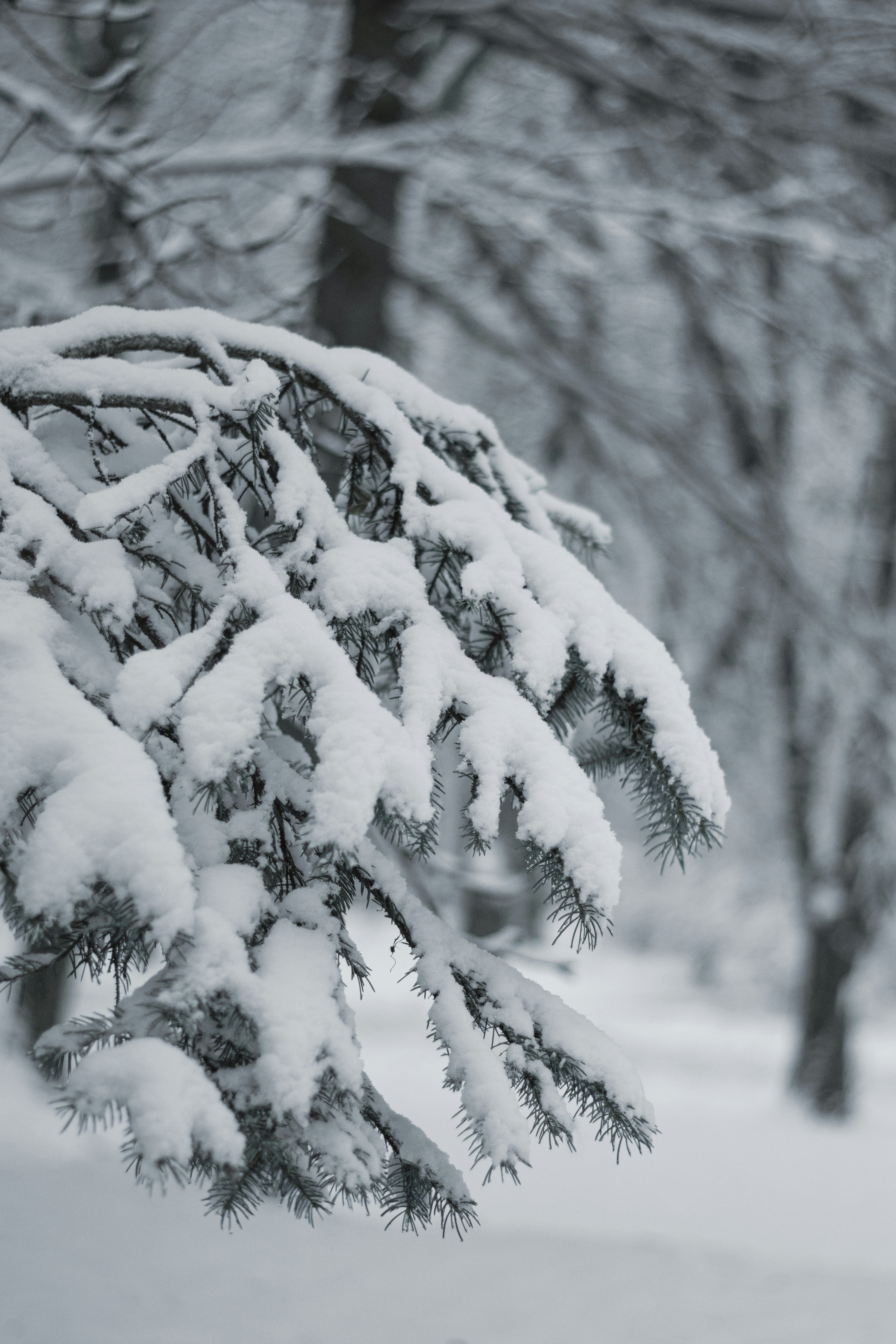 Photo by karynaviktori