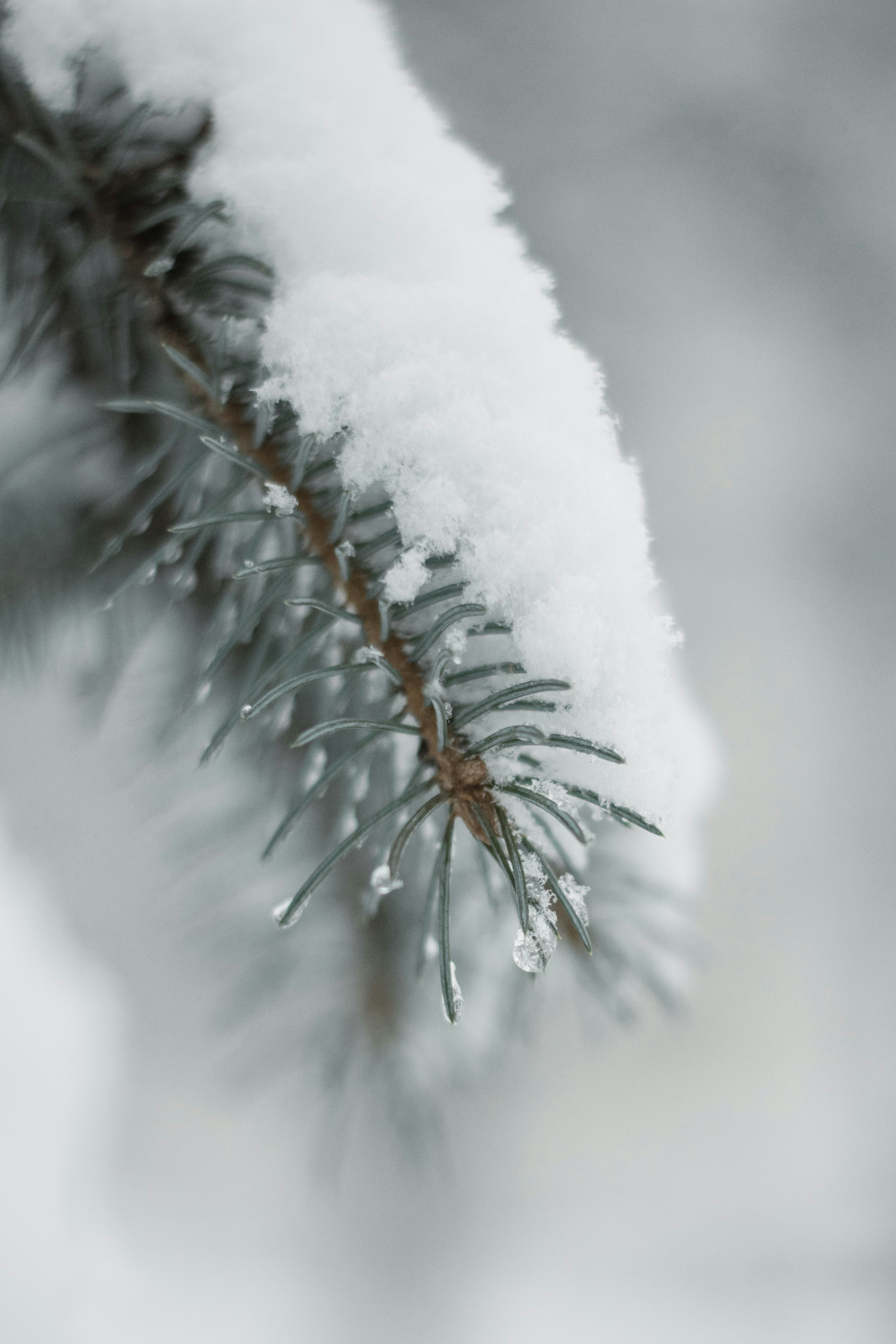 Photo by karynaviktori