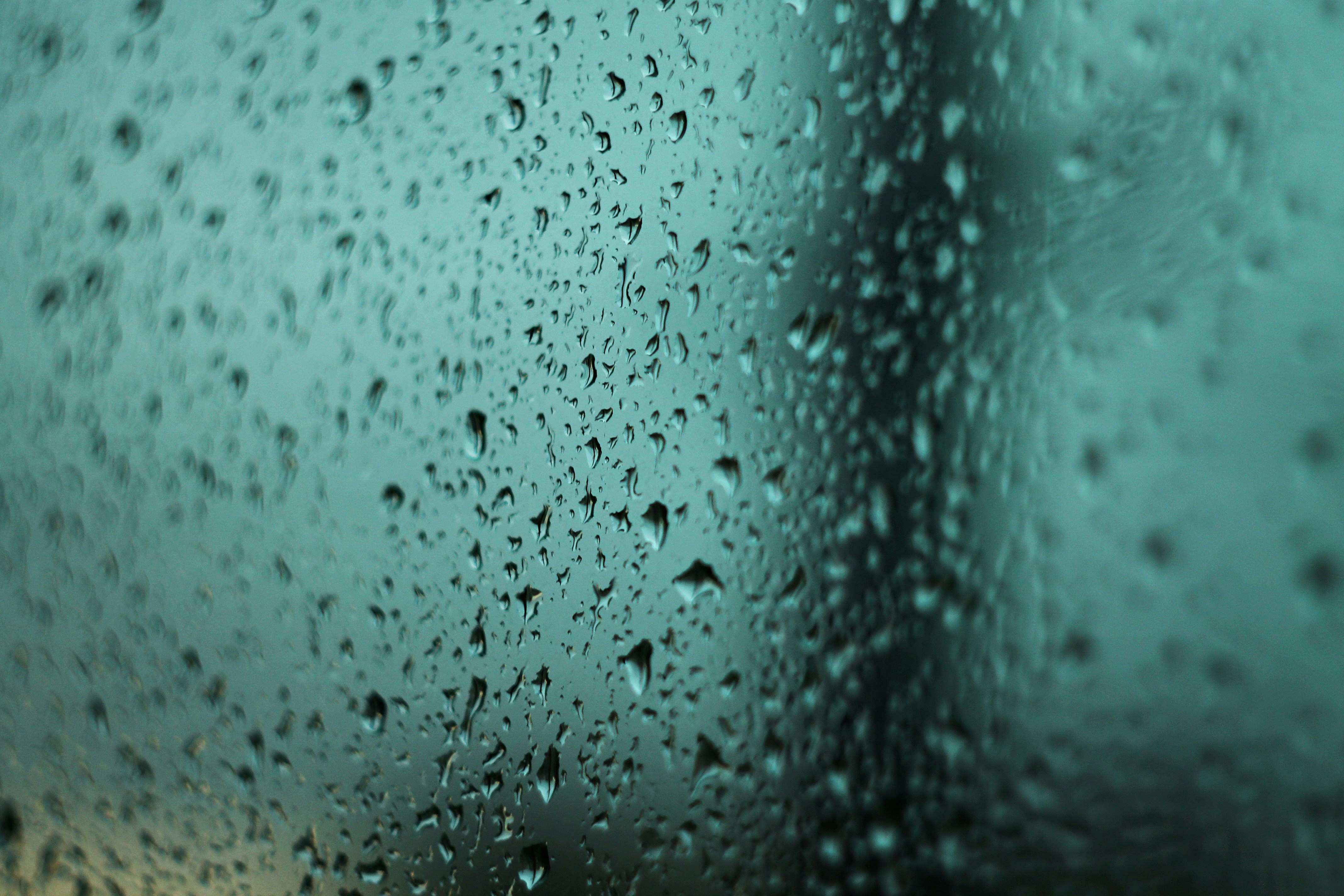 Photo by dragoncy635