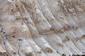 A bird is perched on a rock face