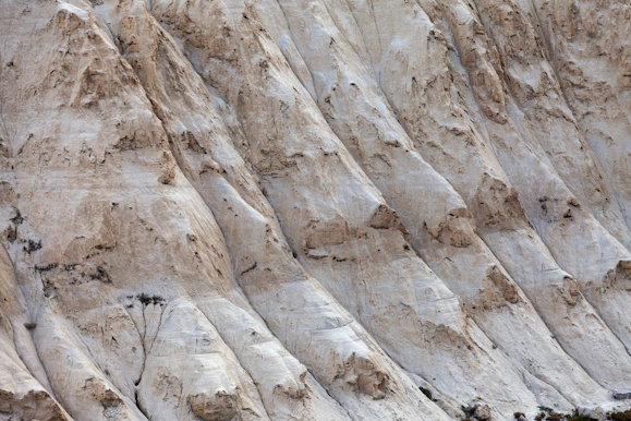 A bird is perched on a rock face
