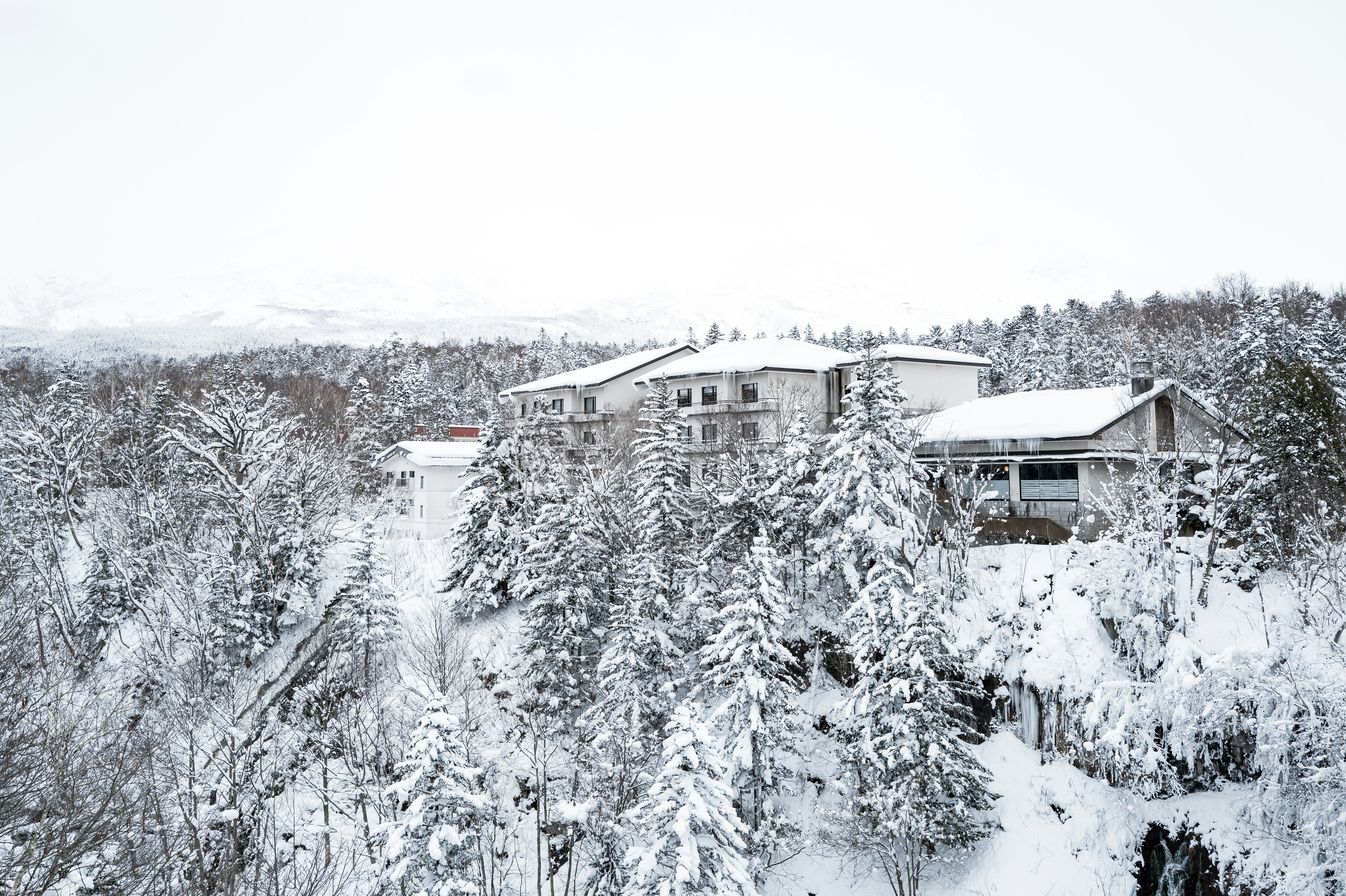 A large white house surrounded by trees covered in snow