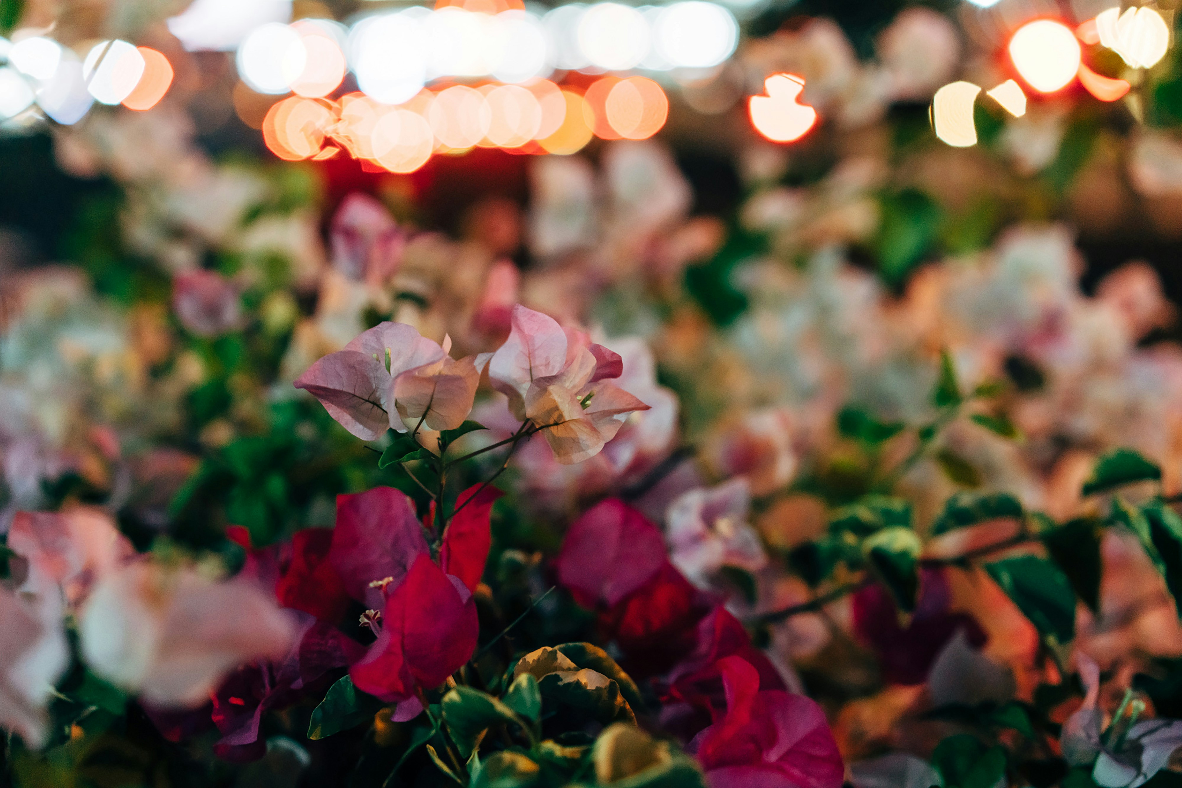 Photo by markuswinkler