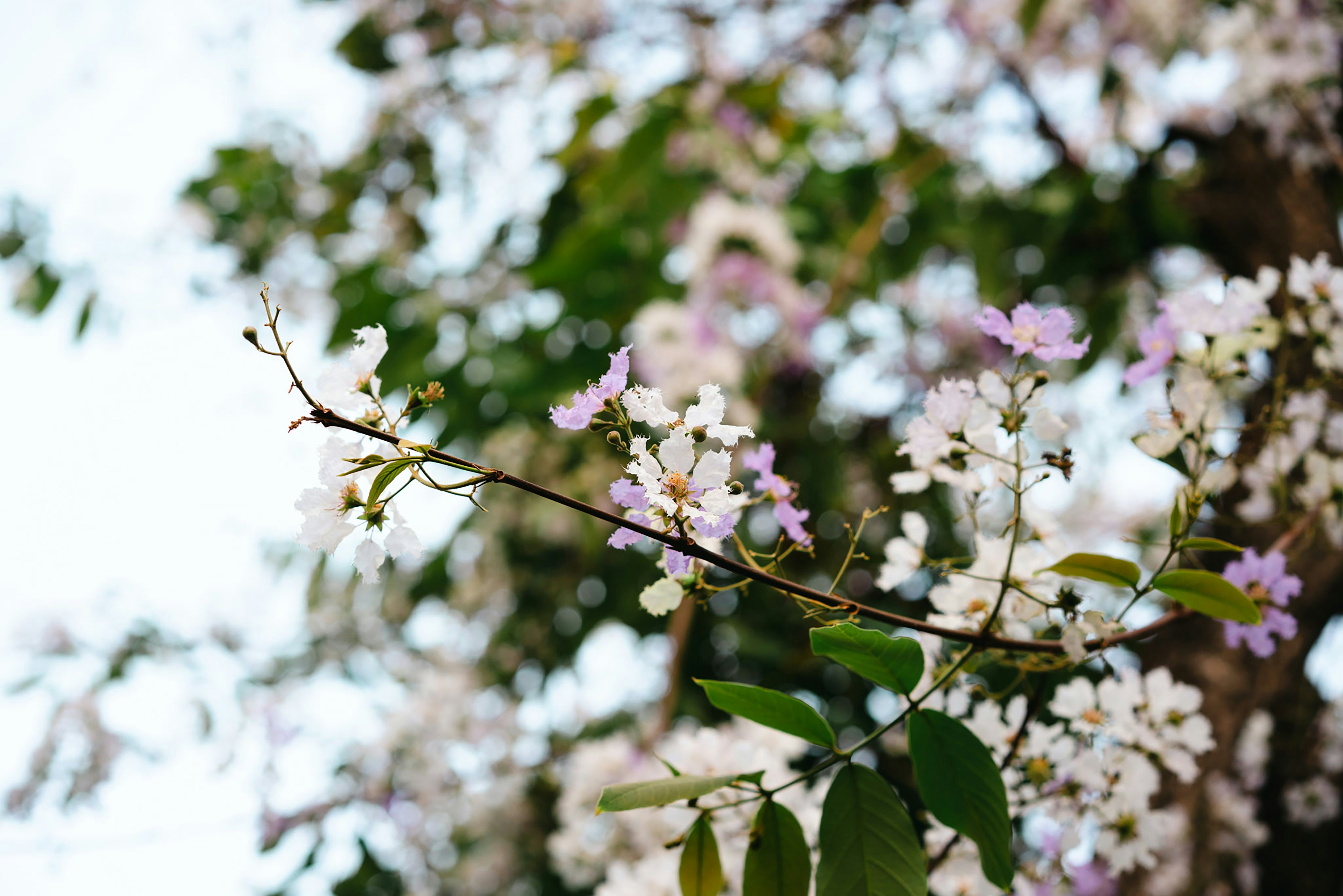 Photo by markuswinkler