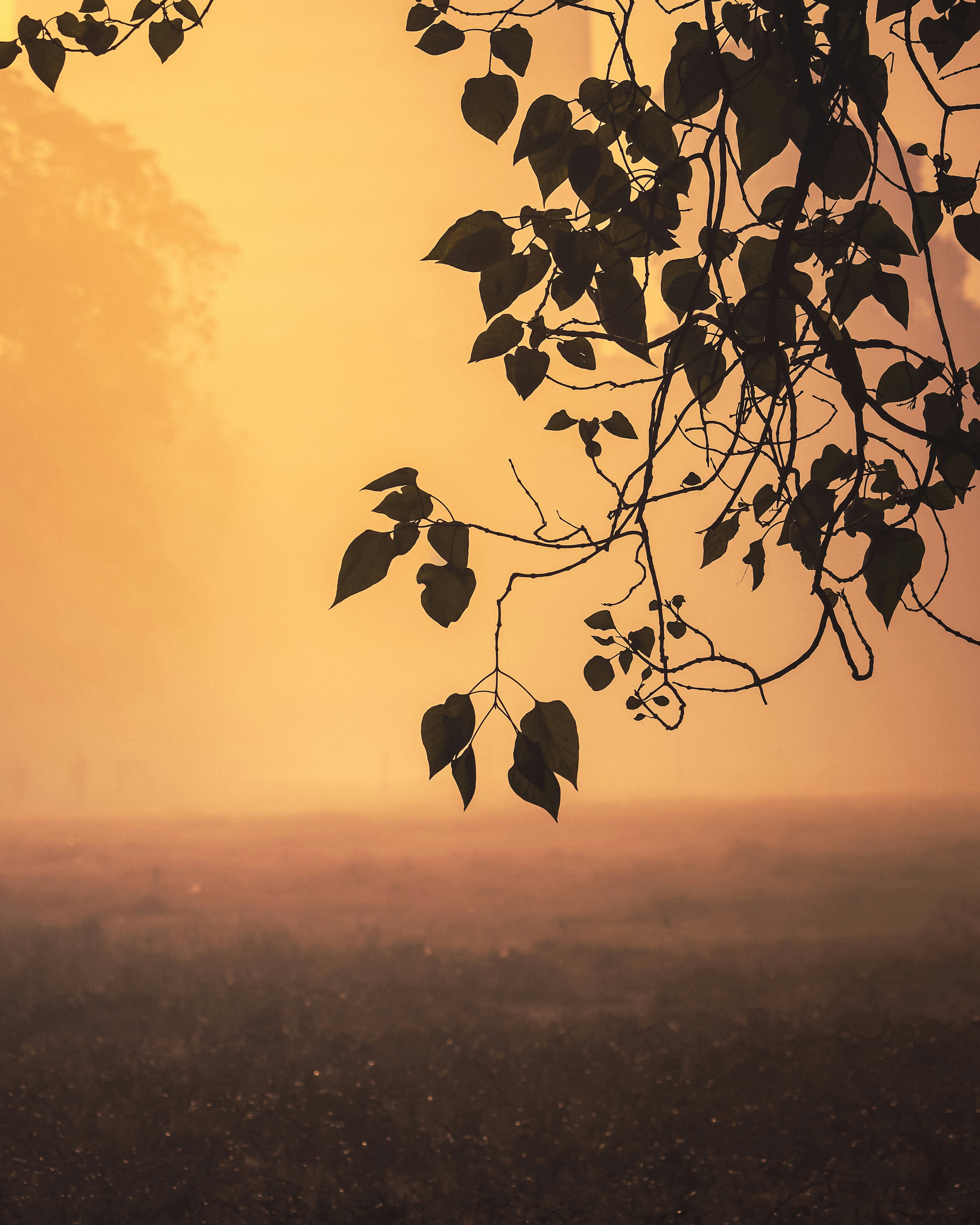 Photo by rohitsharma1785