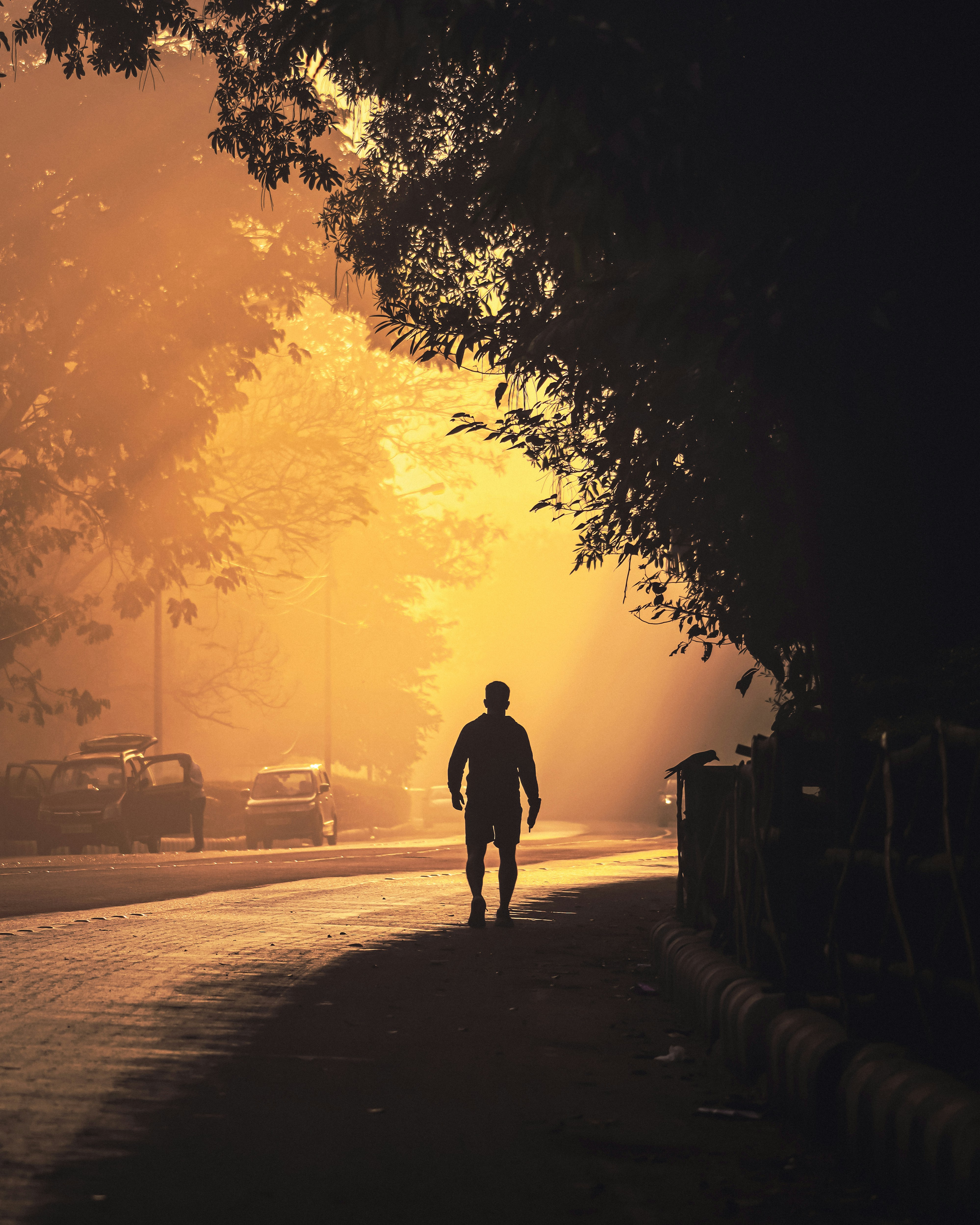 Photo by rohitsharma1785